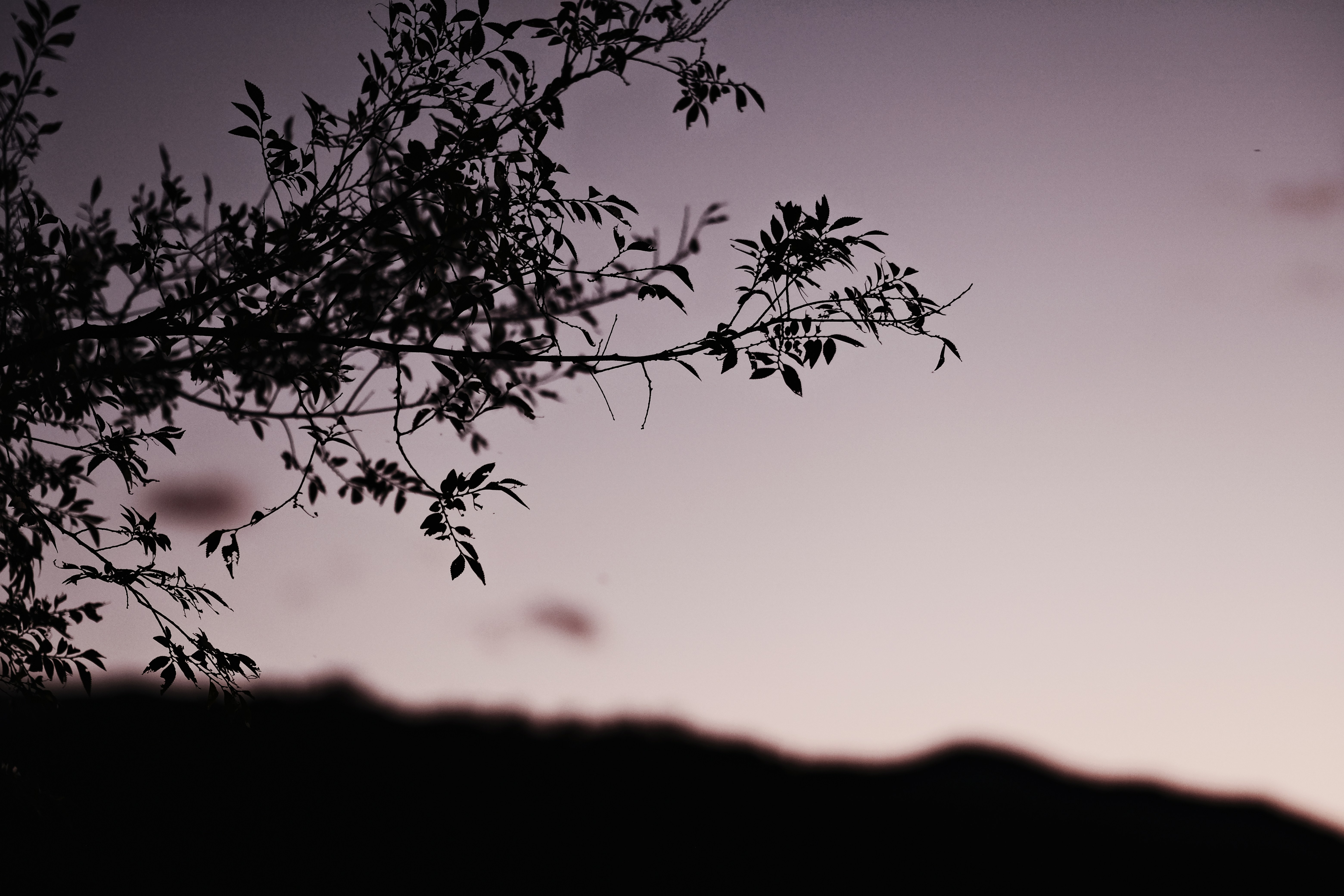 Photo by amihailoven