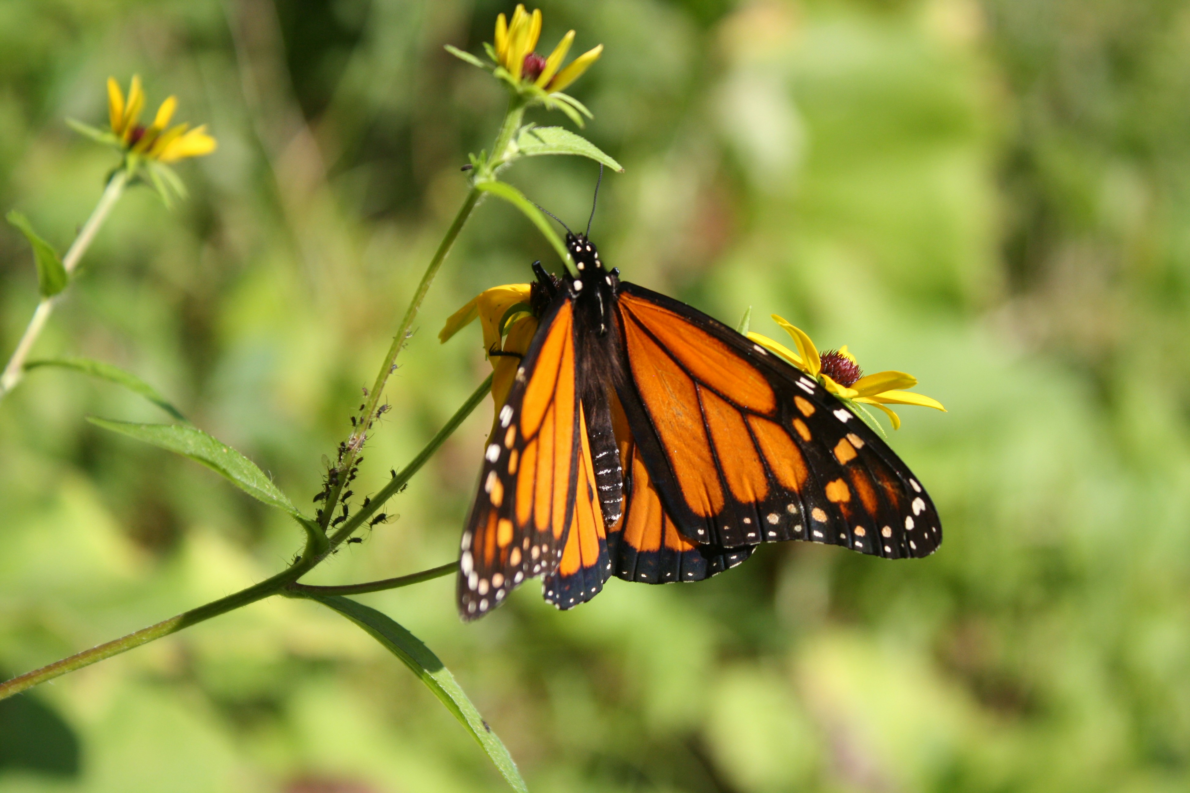 Photo by theartsy_waterlily