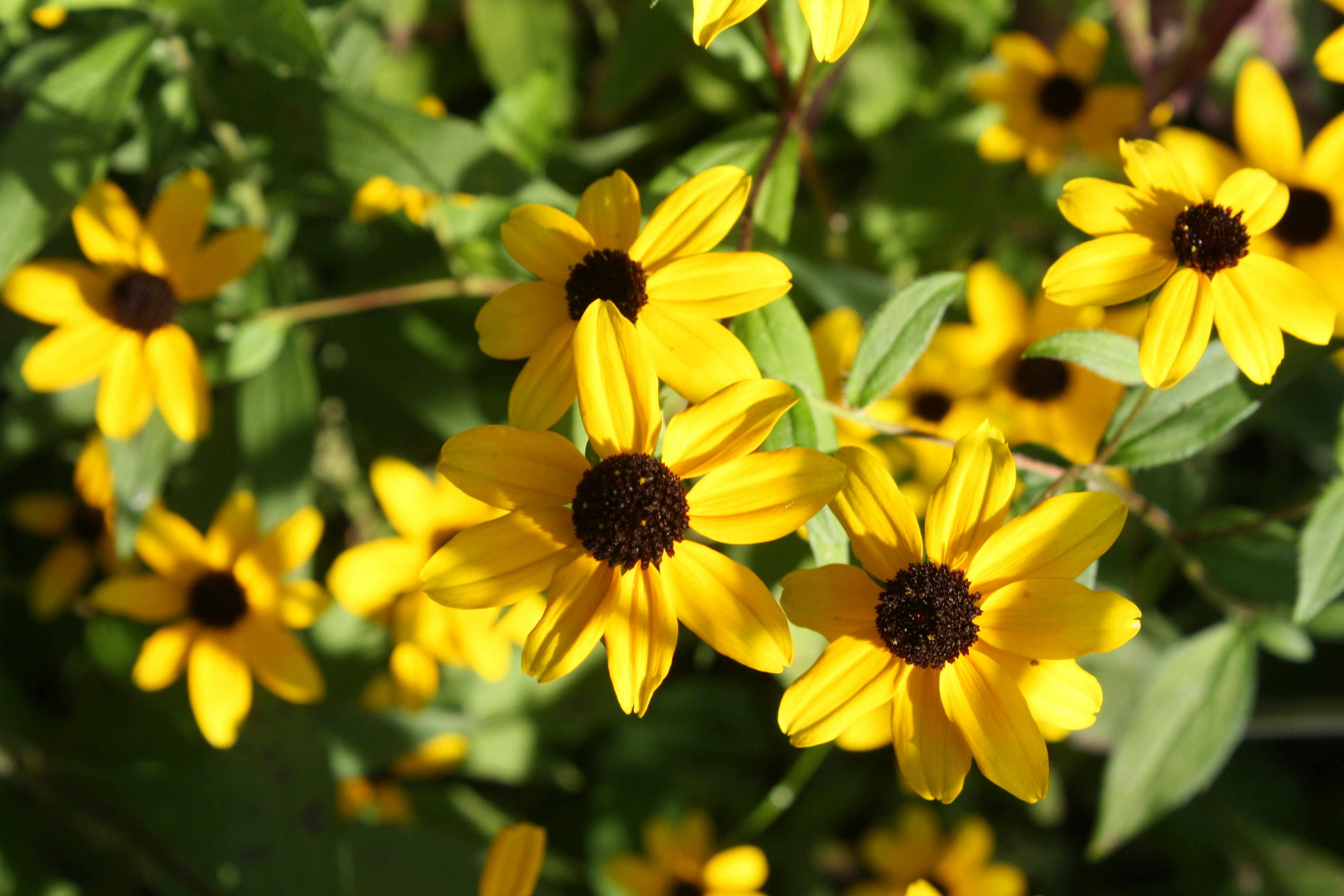 Photo by theartsy_waterlily