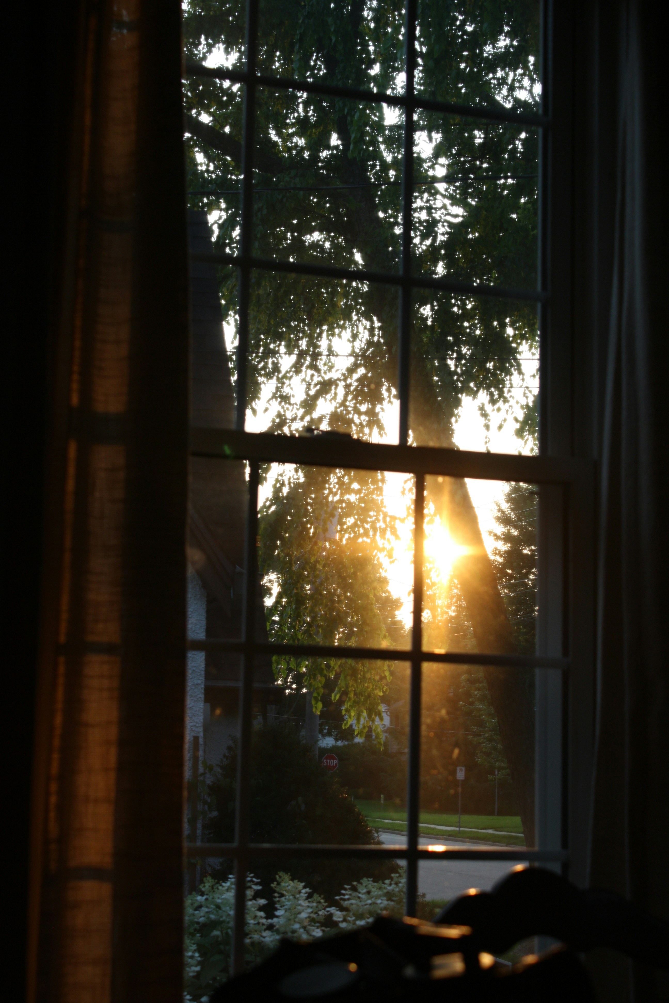 Soft morning light through a window, evoking peaceful reflection
