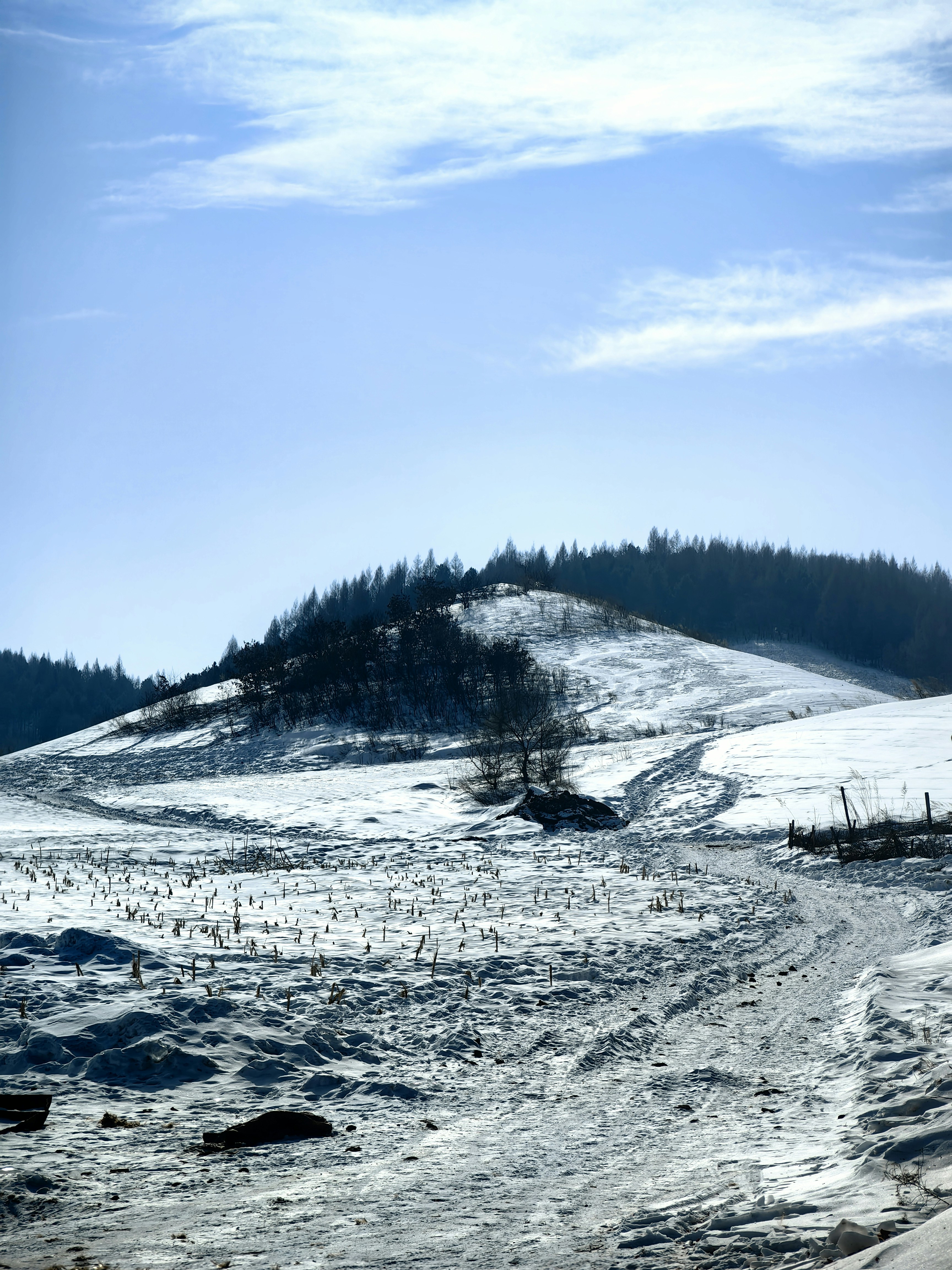 A snow covered hill with trees on top of it