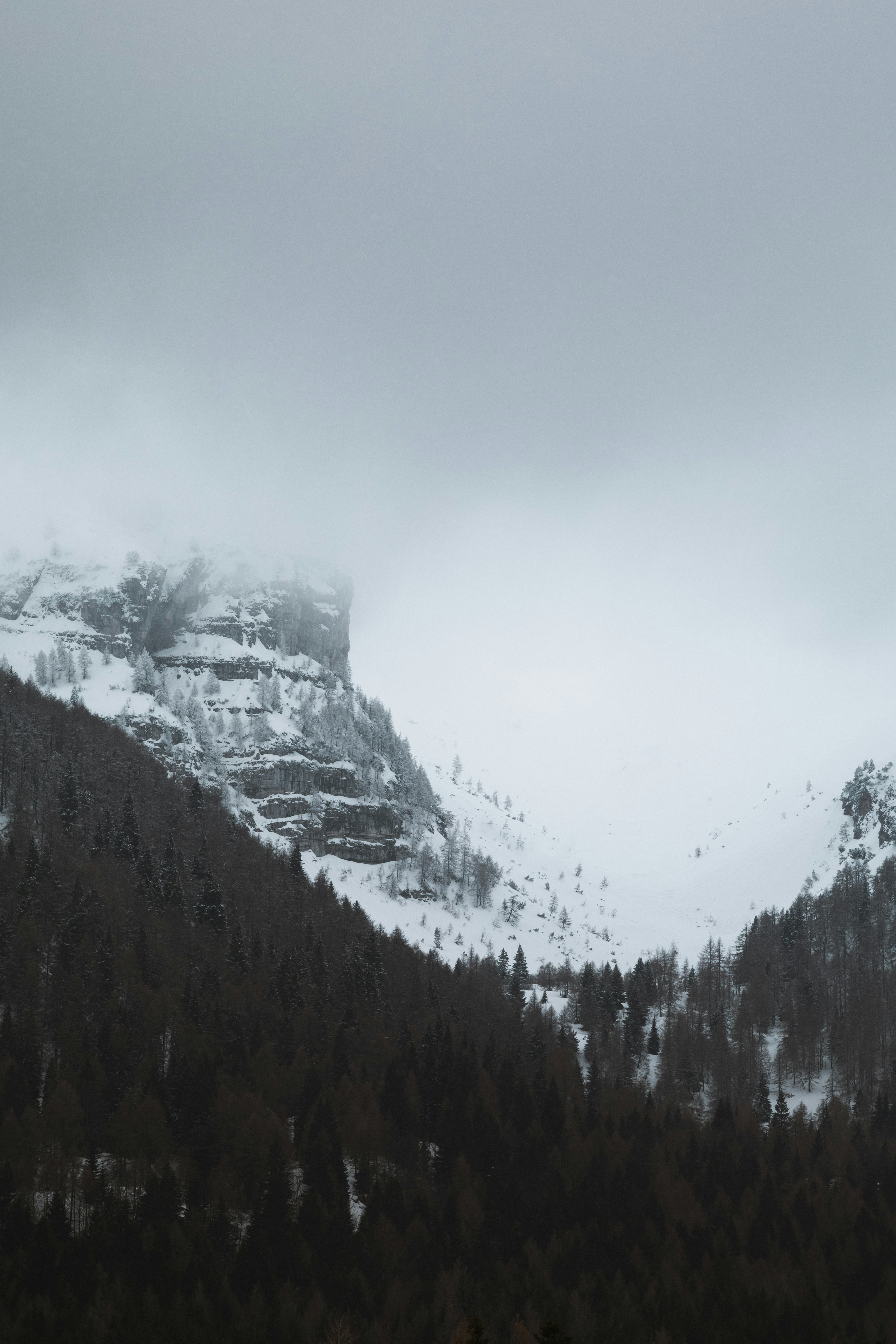 Photo by lauralezman