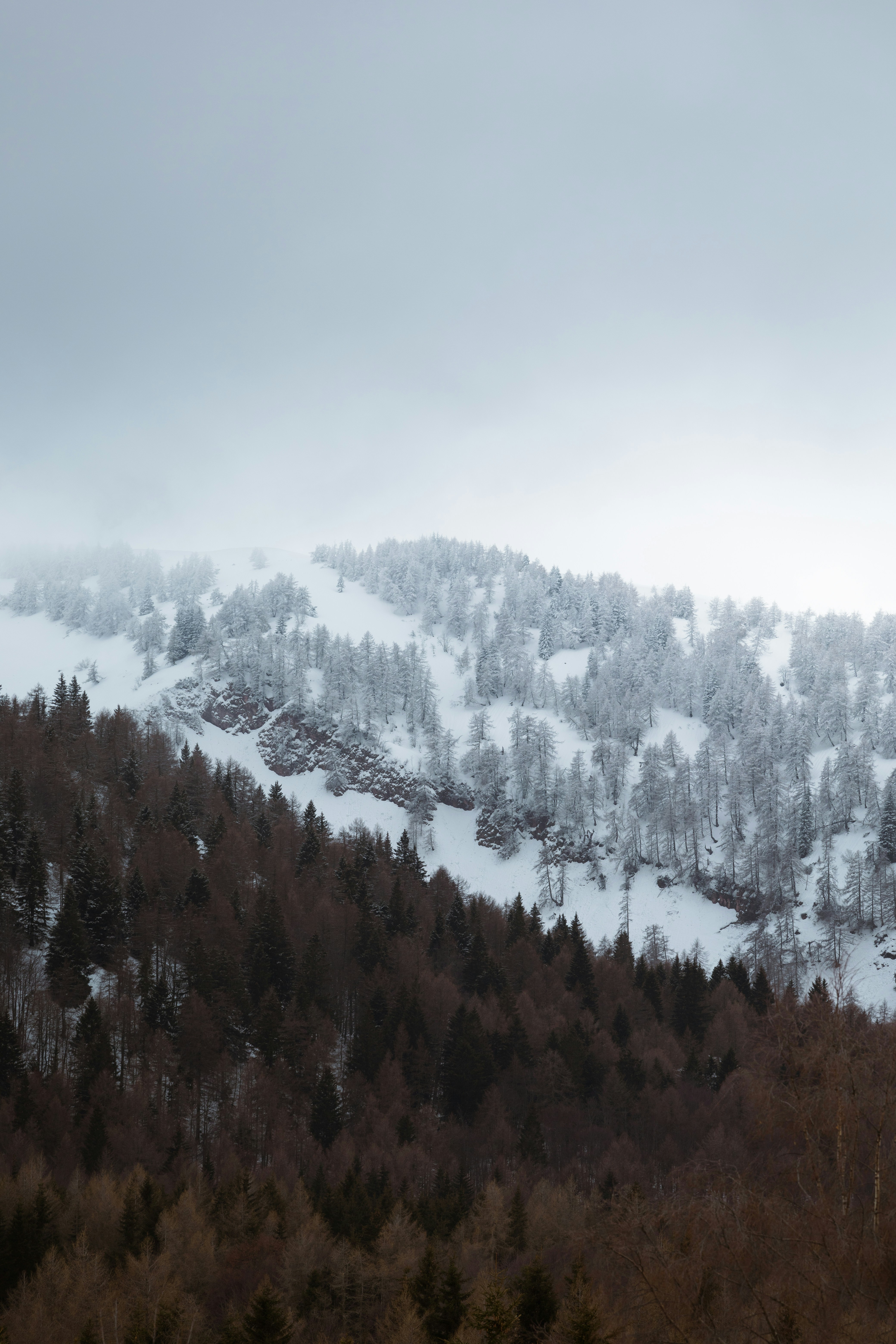 Photo by lauralezman