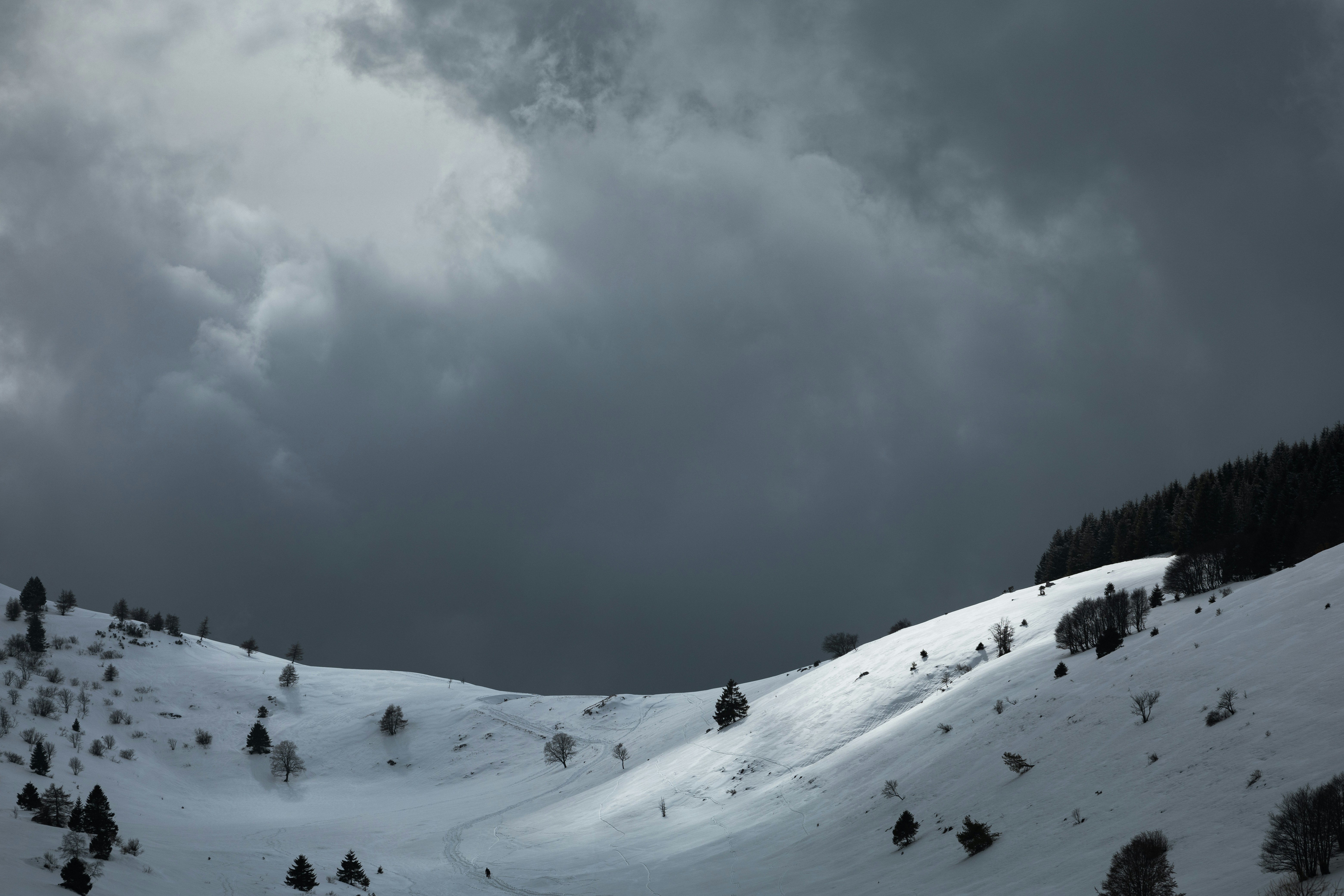 Photo by lauralezman