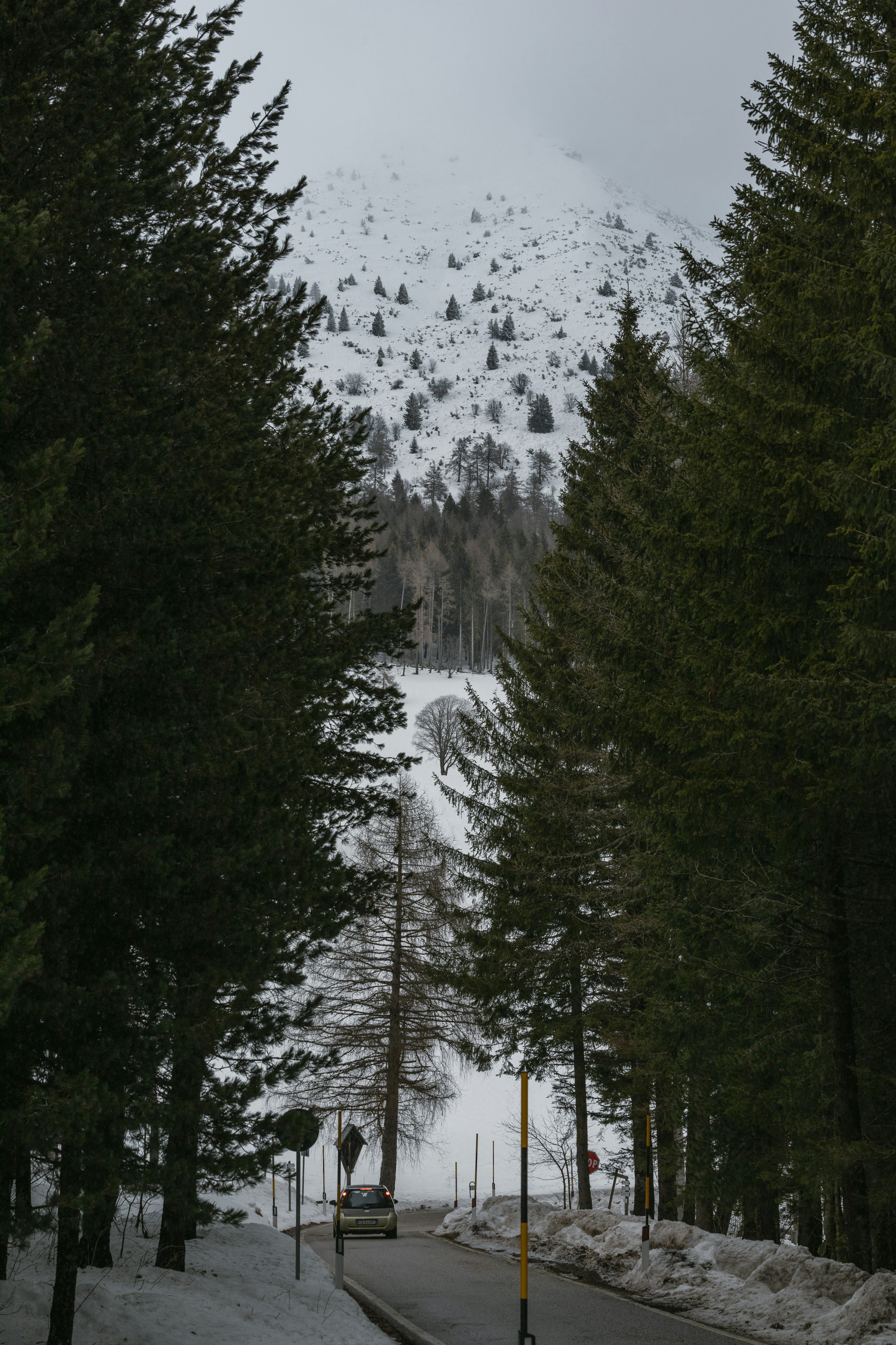 Photo by lauralezman