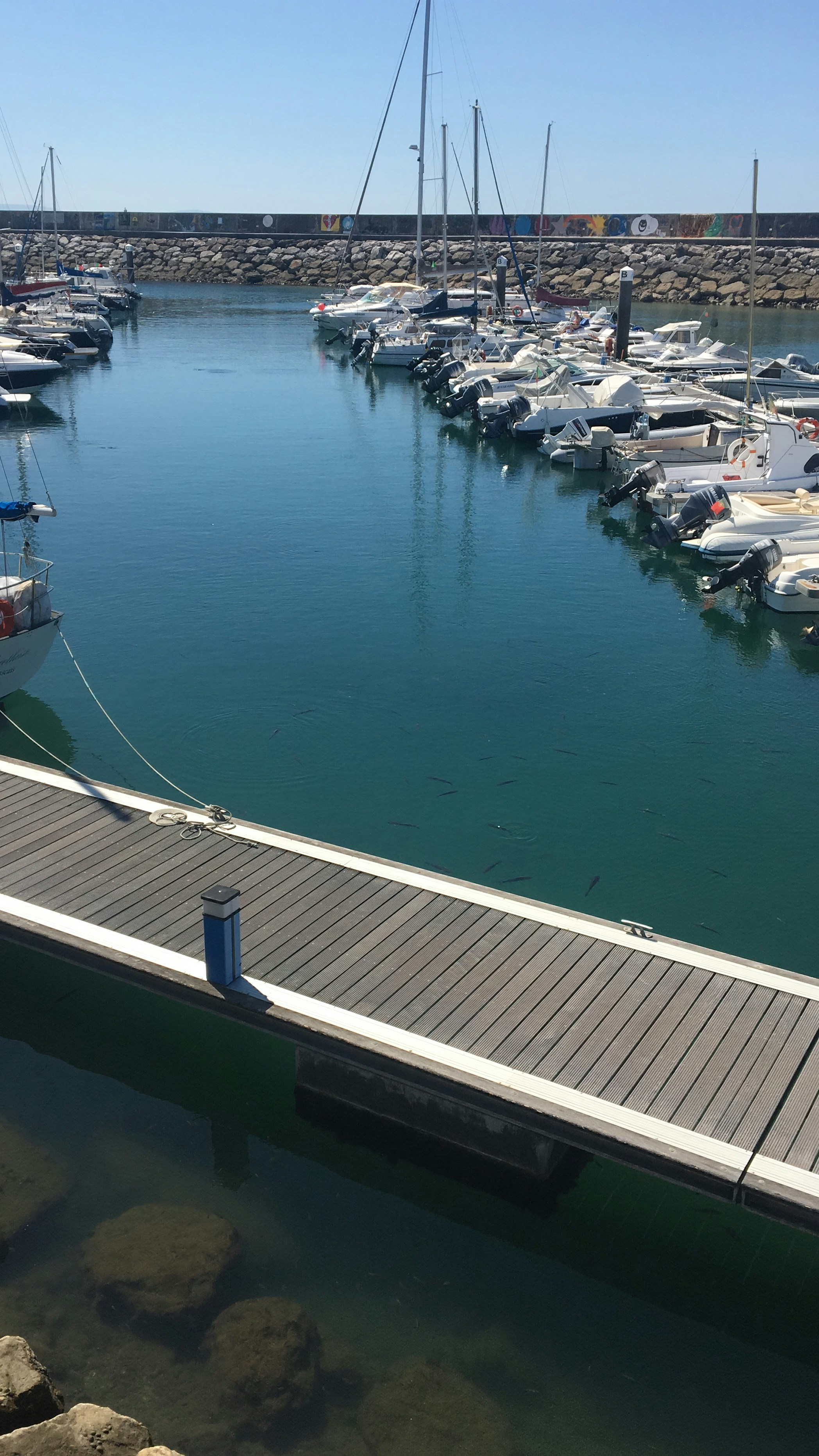 Ein Dock, an dem viele Boote angedockt sind