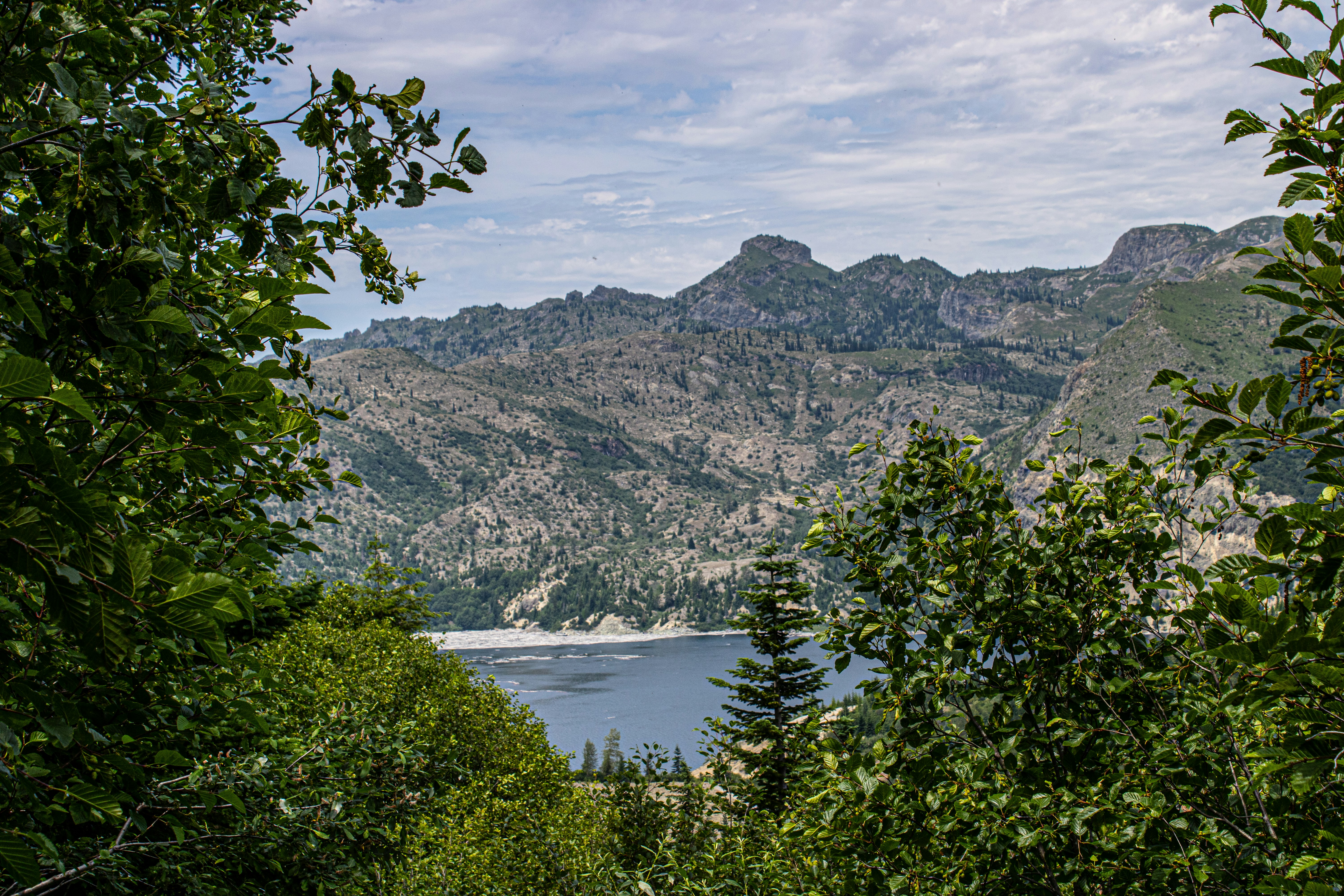 Photo by prphotography262