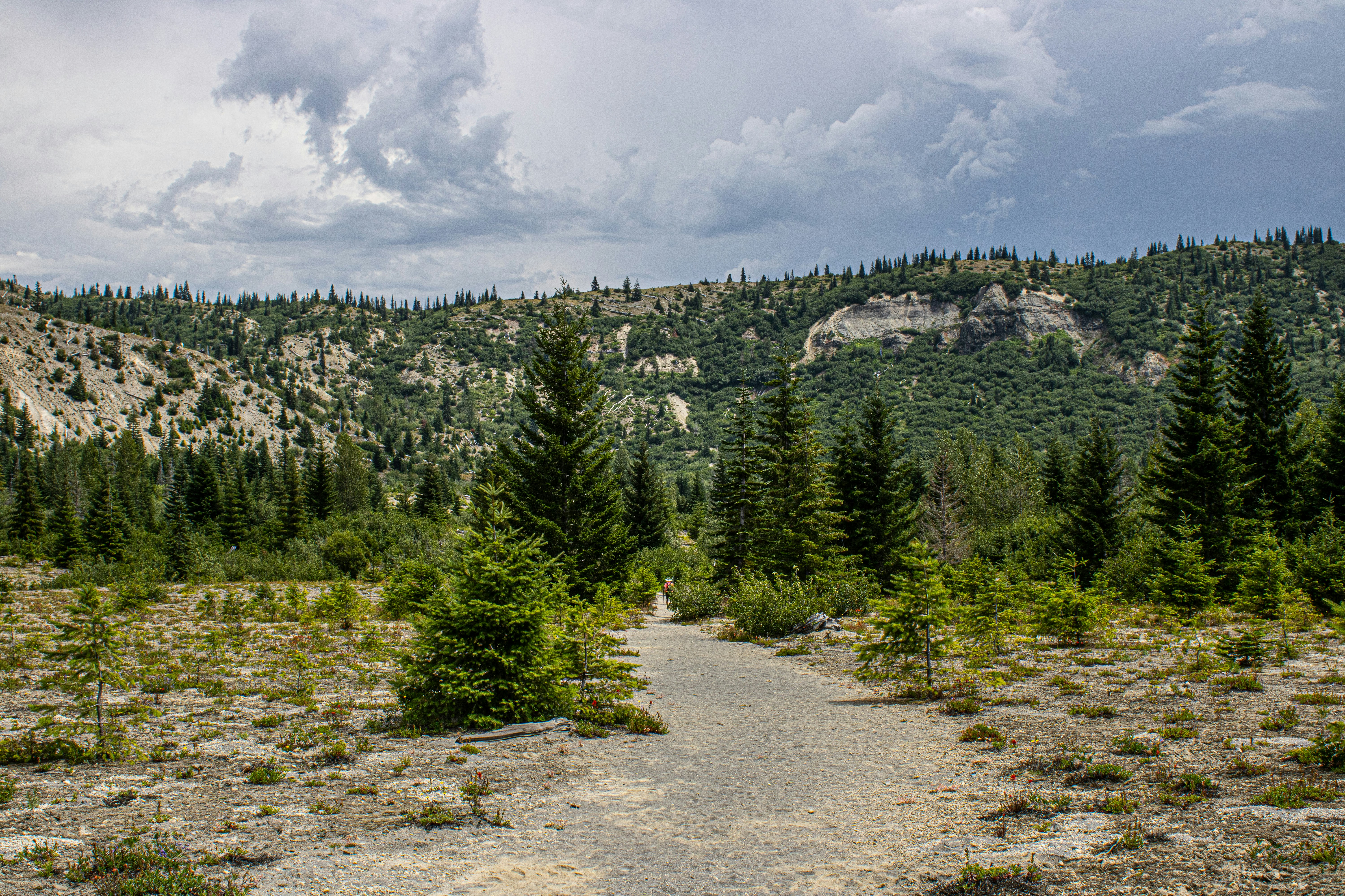 Photo by prphotography262