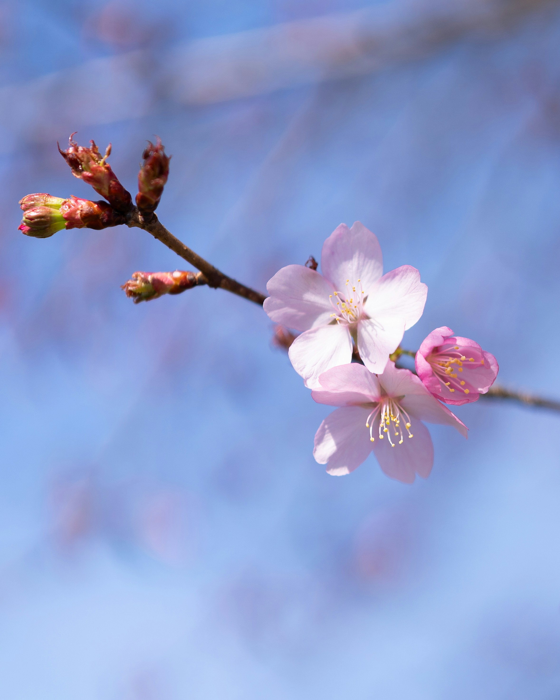 Photo by bangscreative