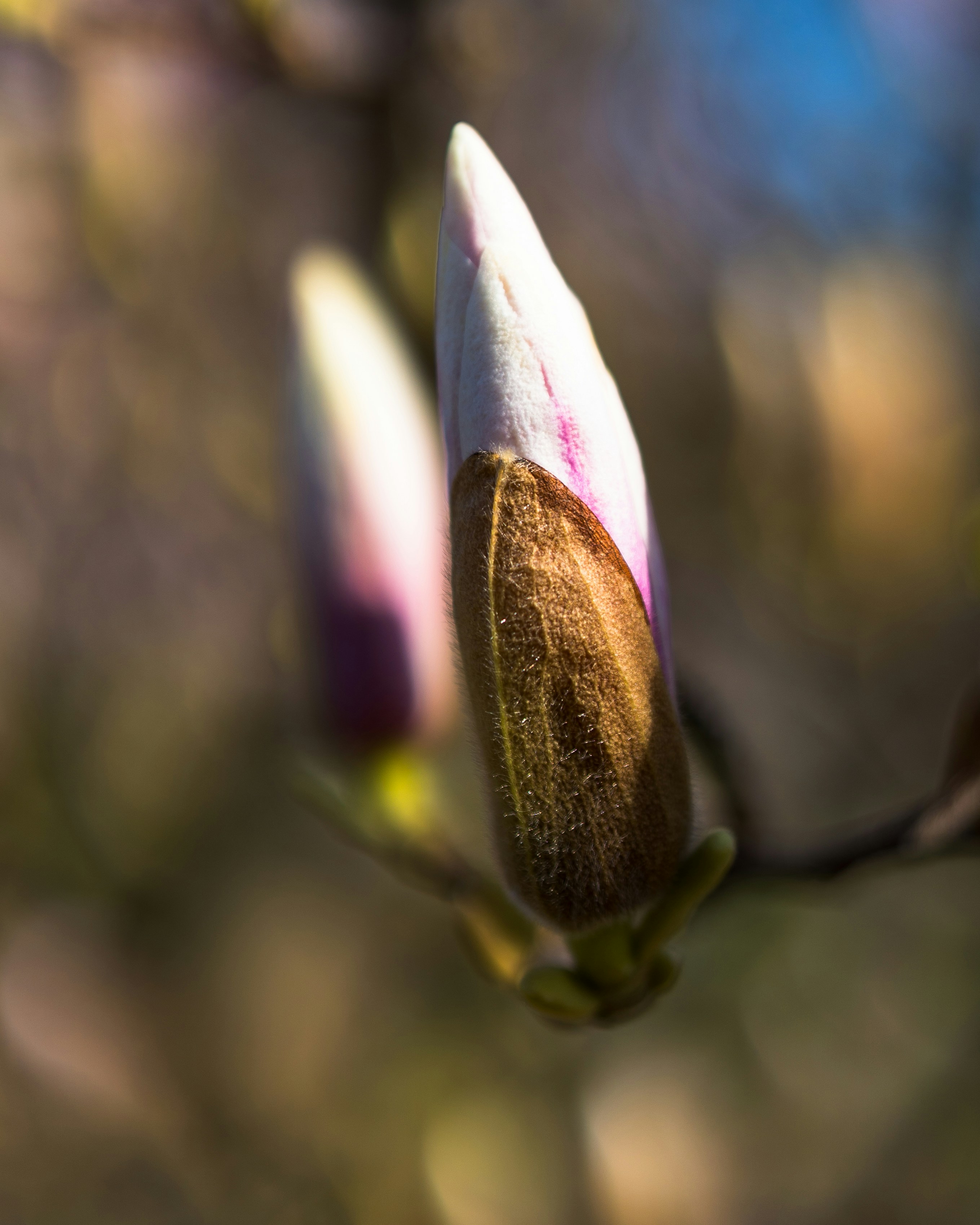 Photo by bangscreative