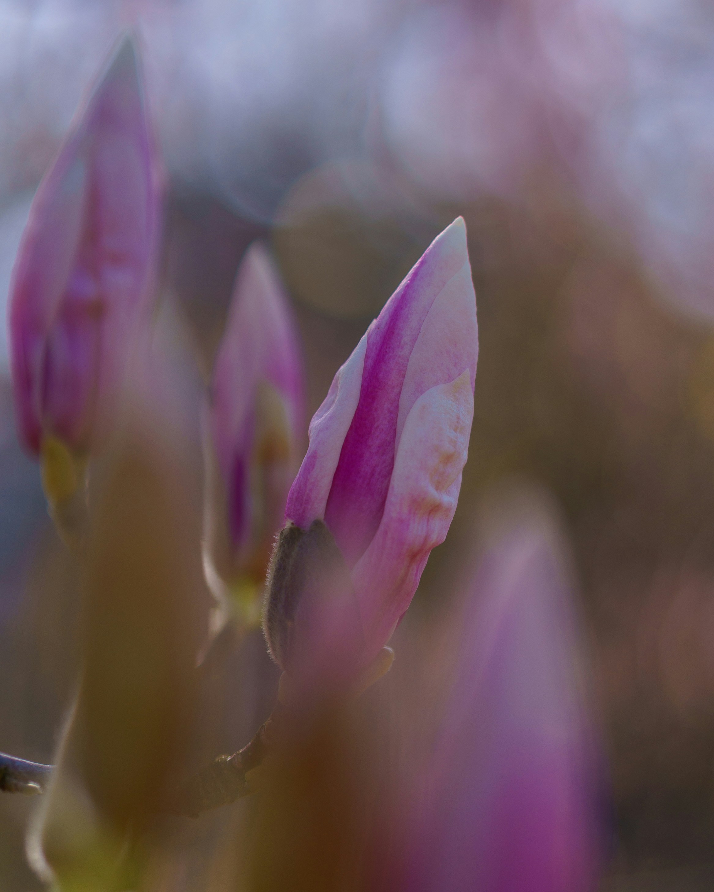 Photo by bangscreative