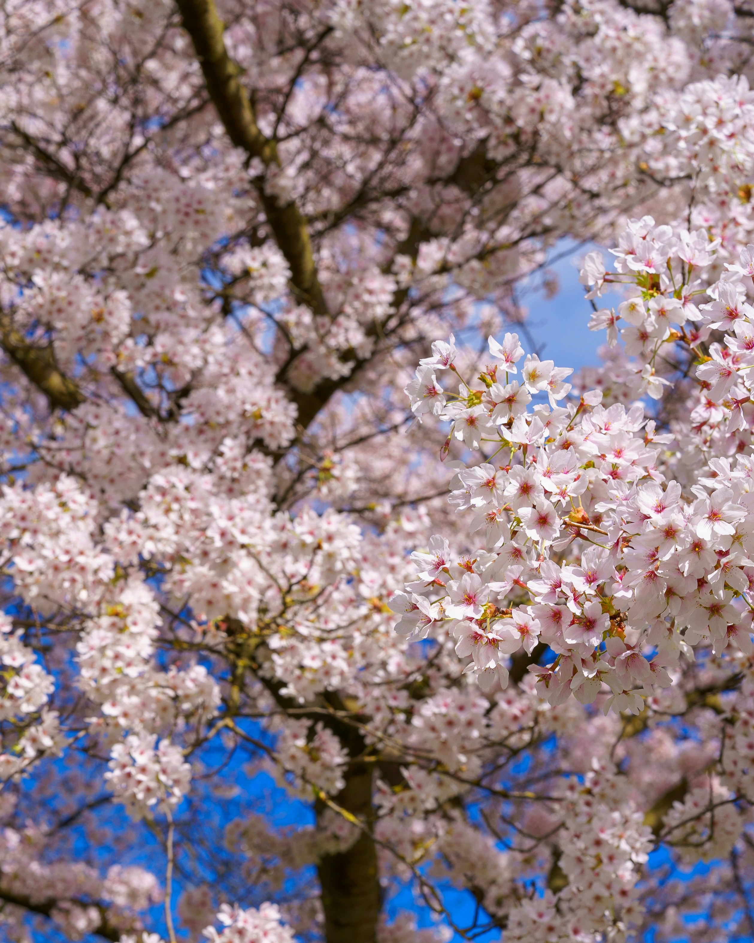 Photo by bangscreative