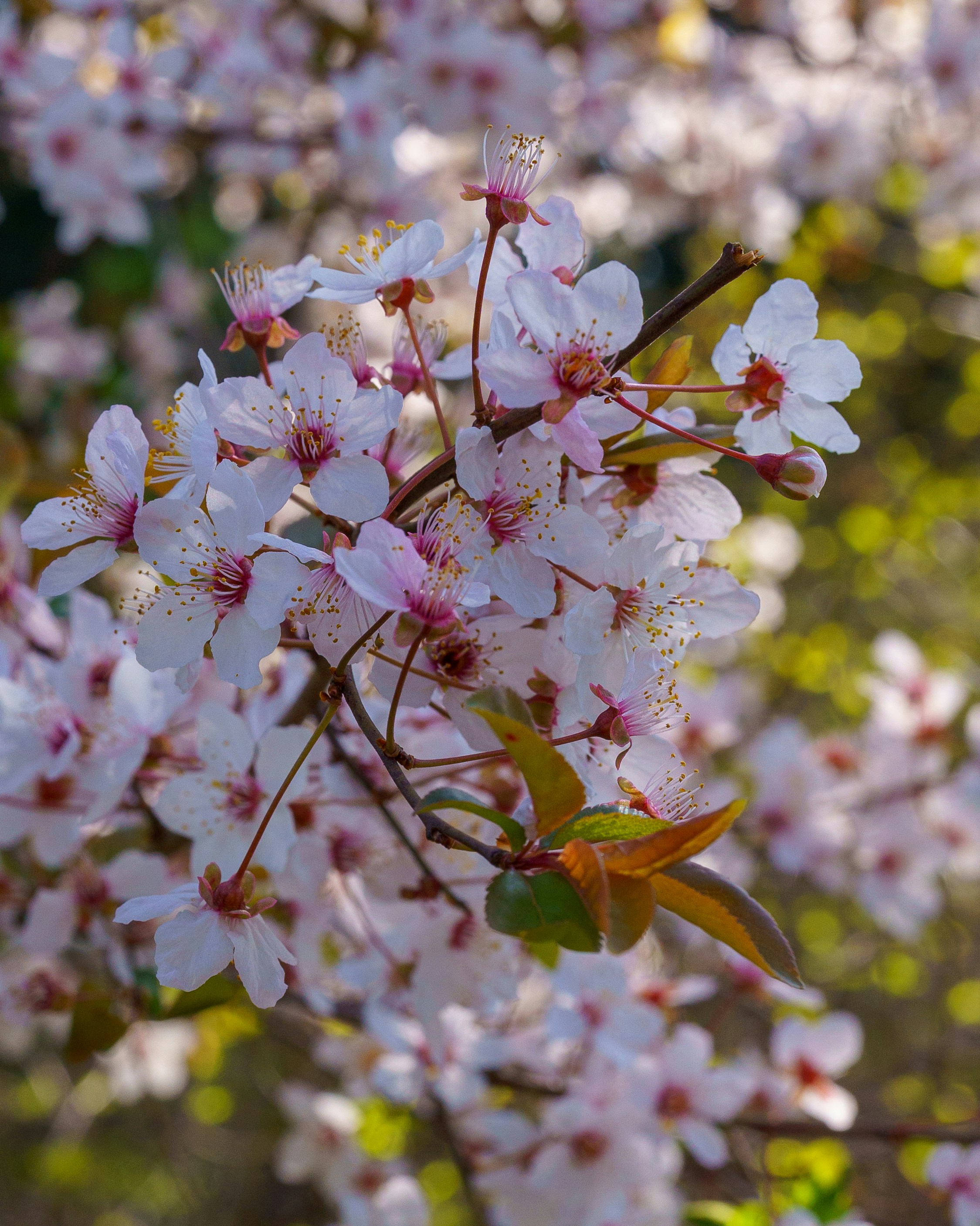 Photo by bangscreative