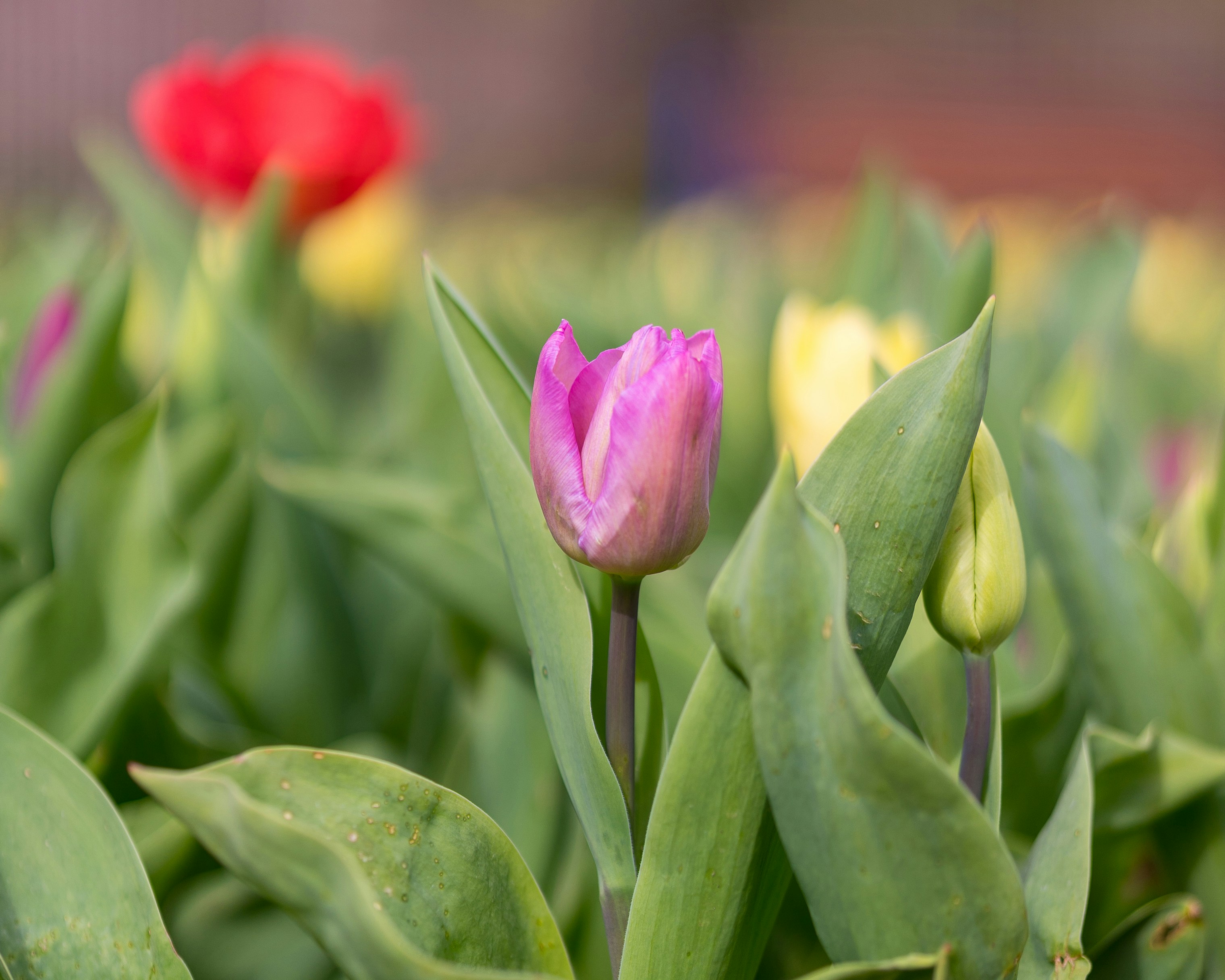 Photo by bangscreative