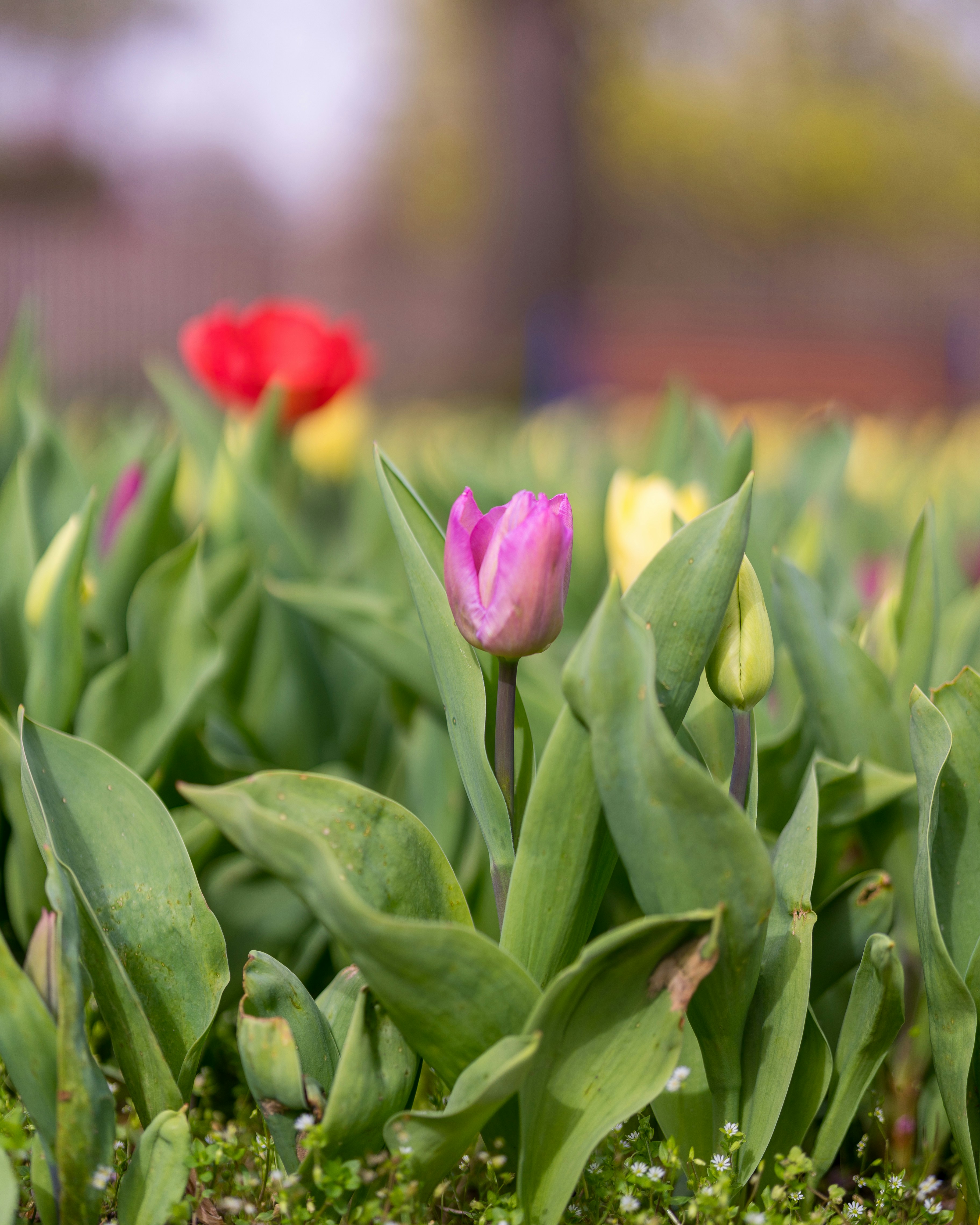 Photo by bangscreative