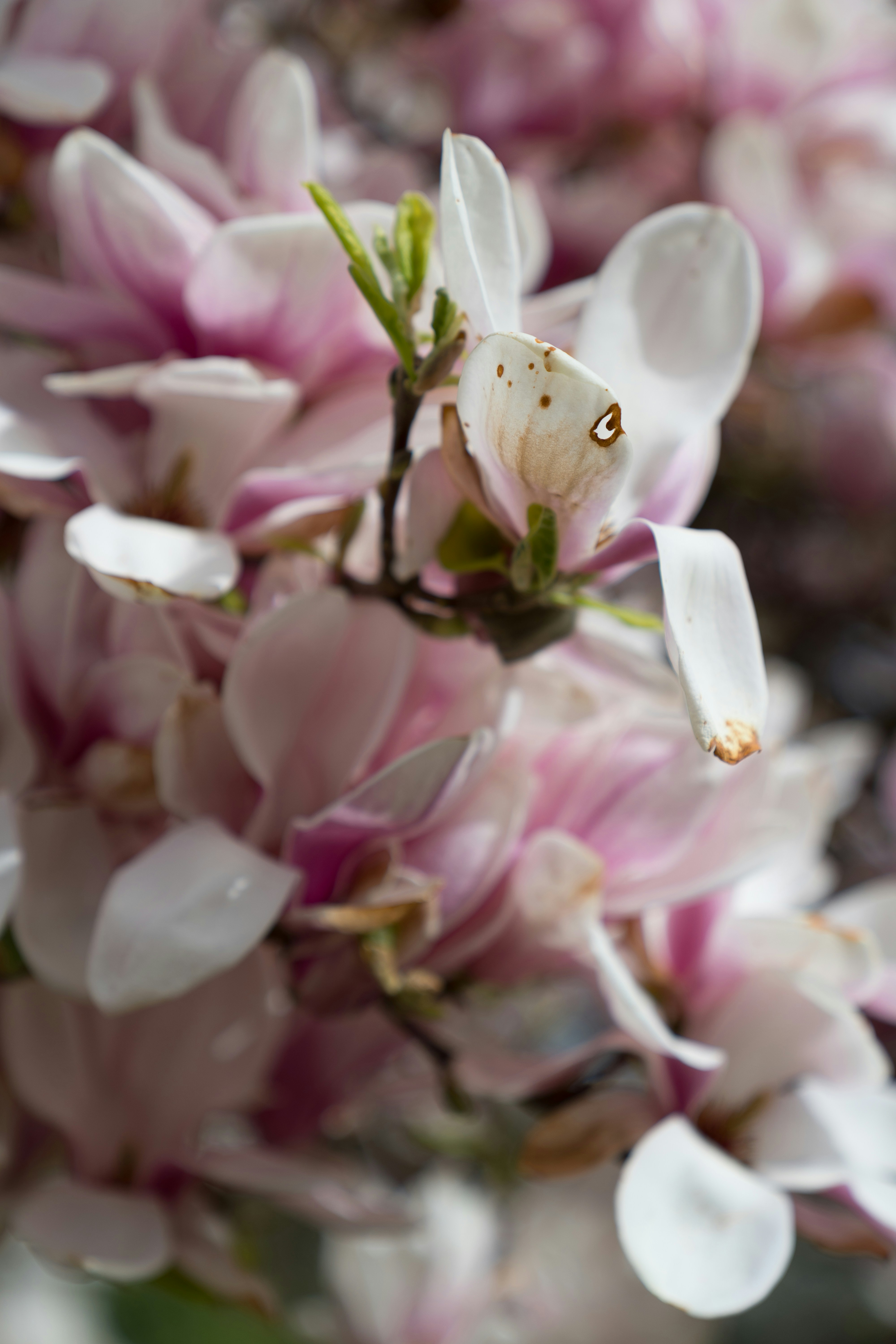 Photo by bangscreative