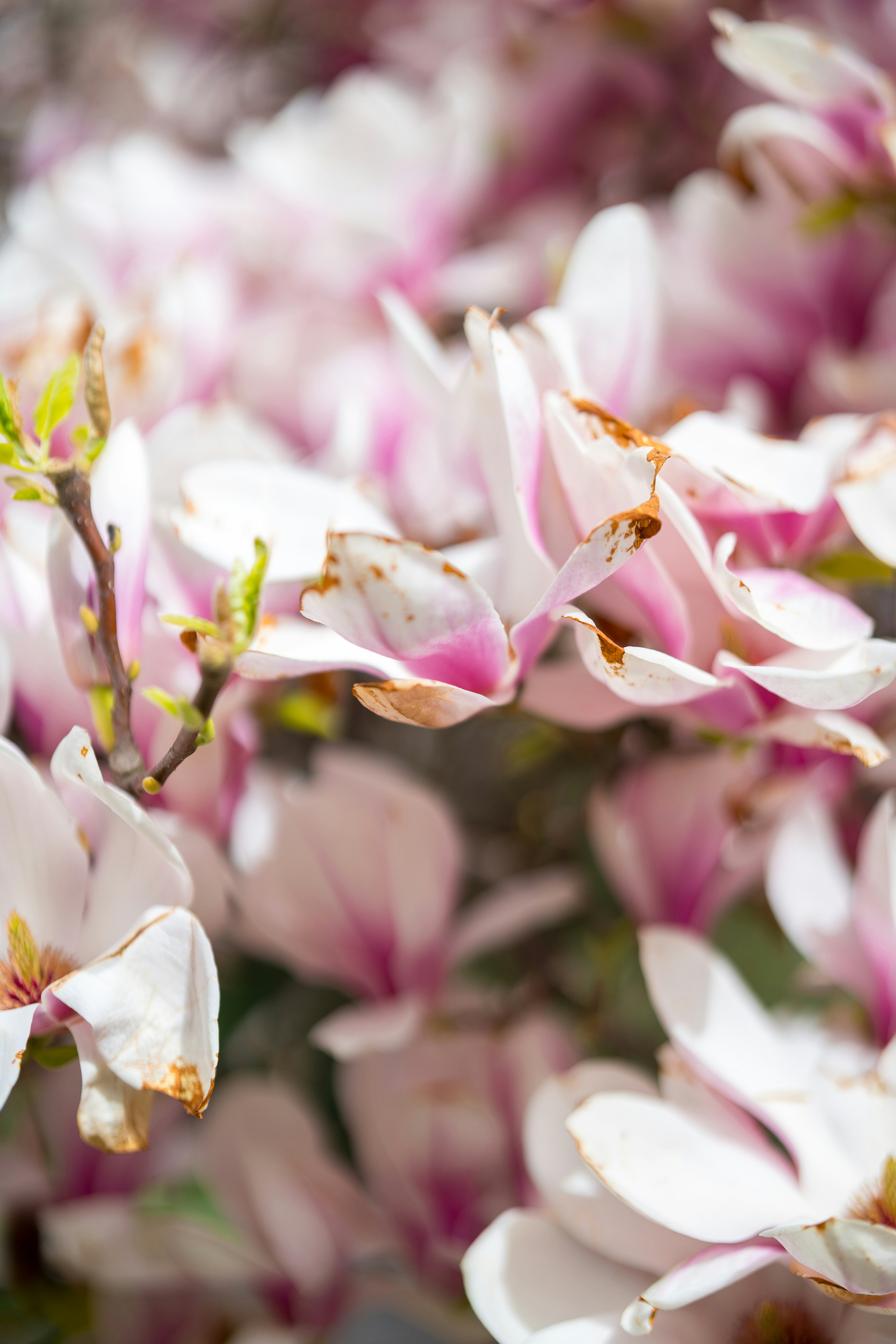 Photo by bangscreative