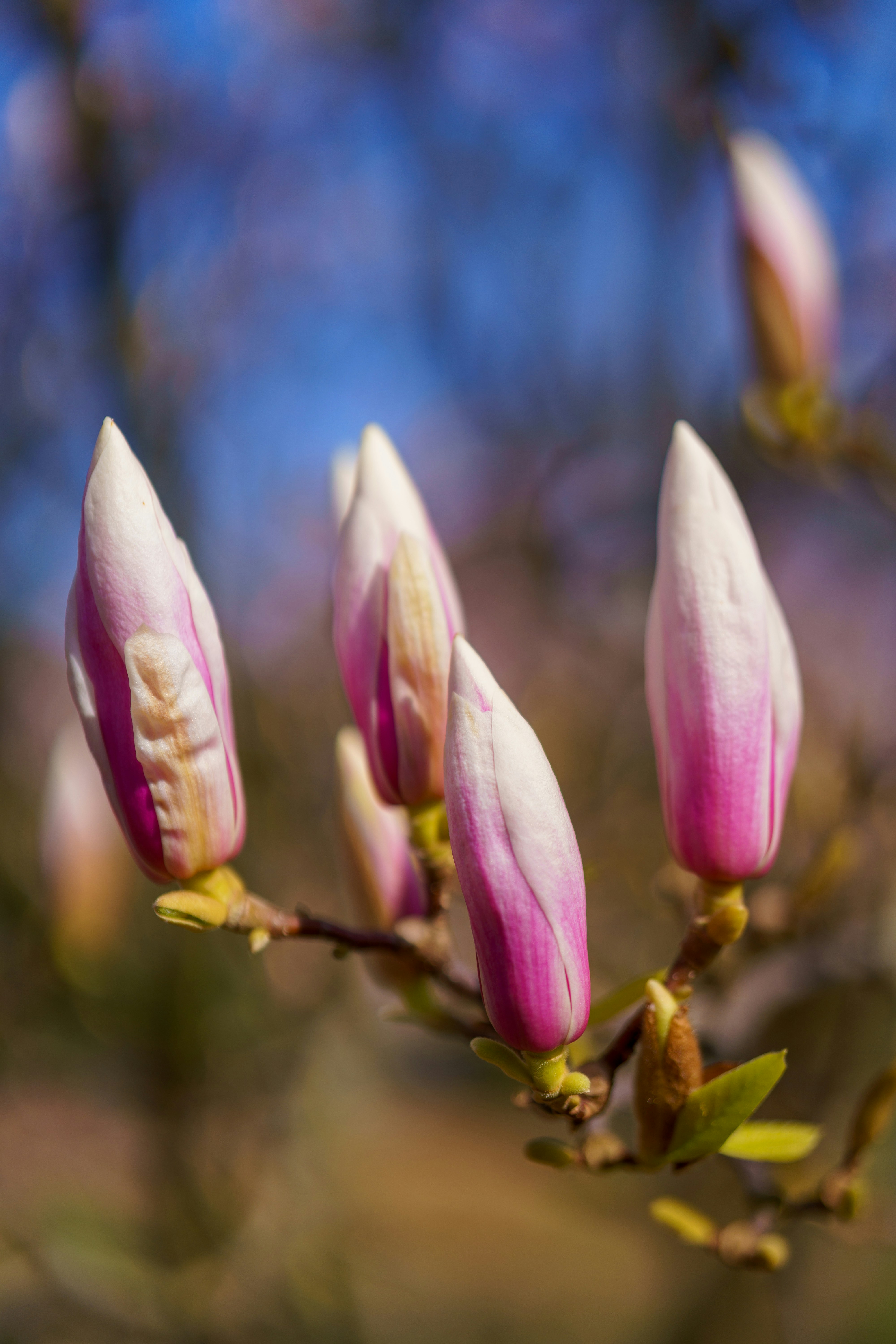 Photo by bangscreative