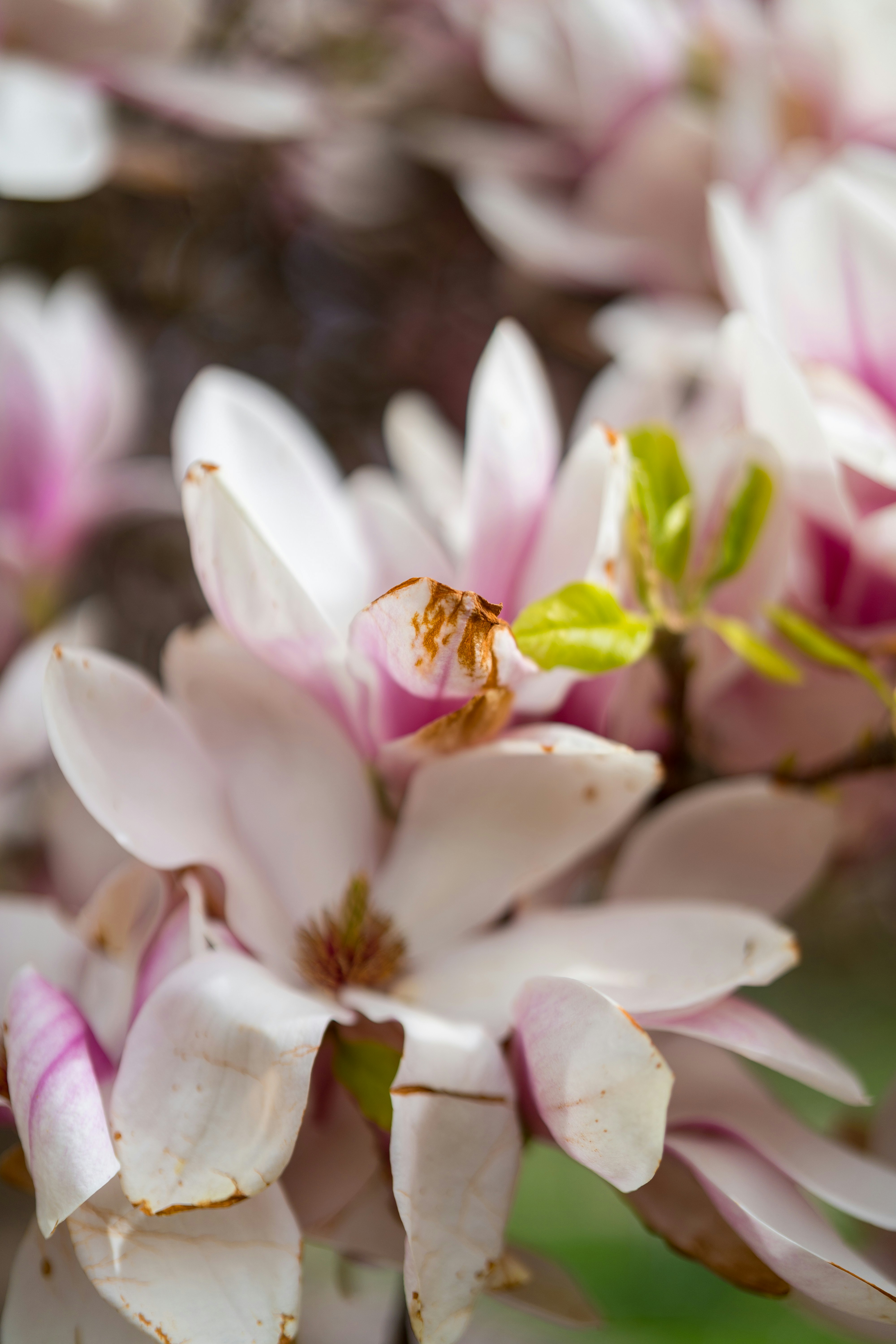 Photo by bangscreative