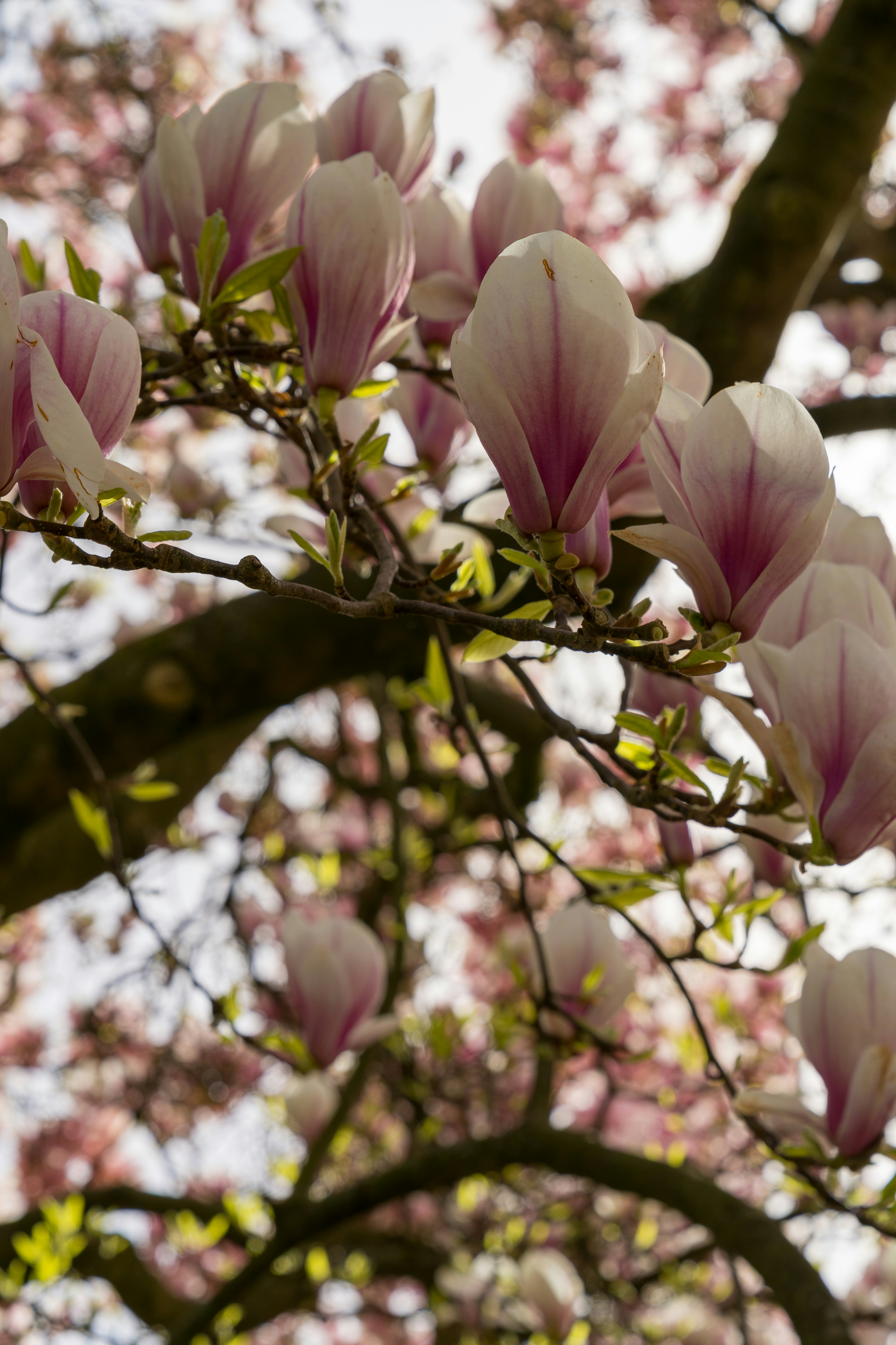 Photo by bangscreative