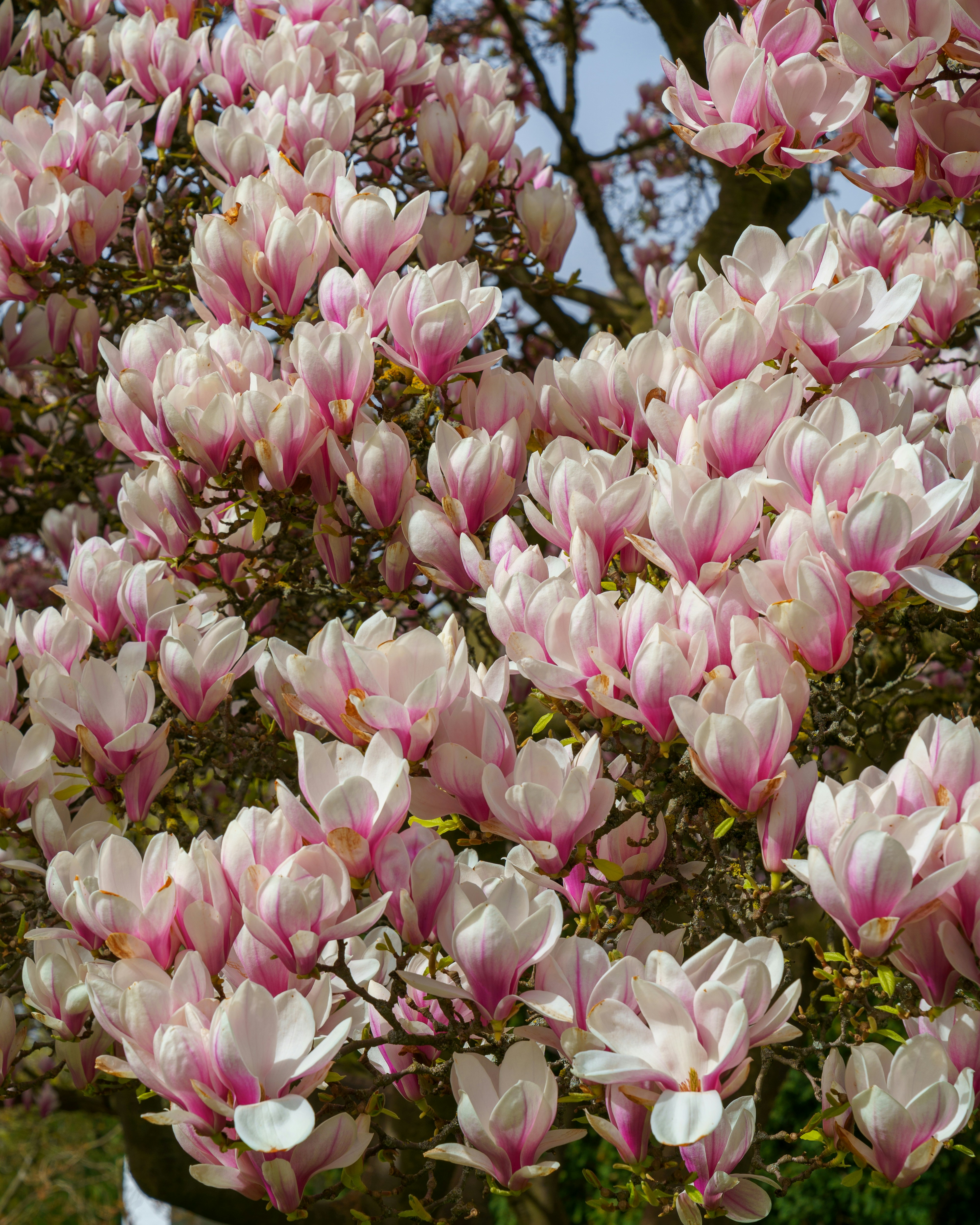 Photo by bangscreative