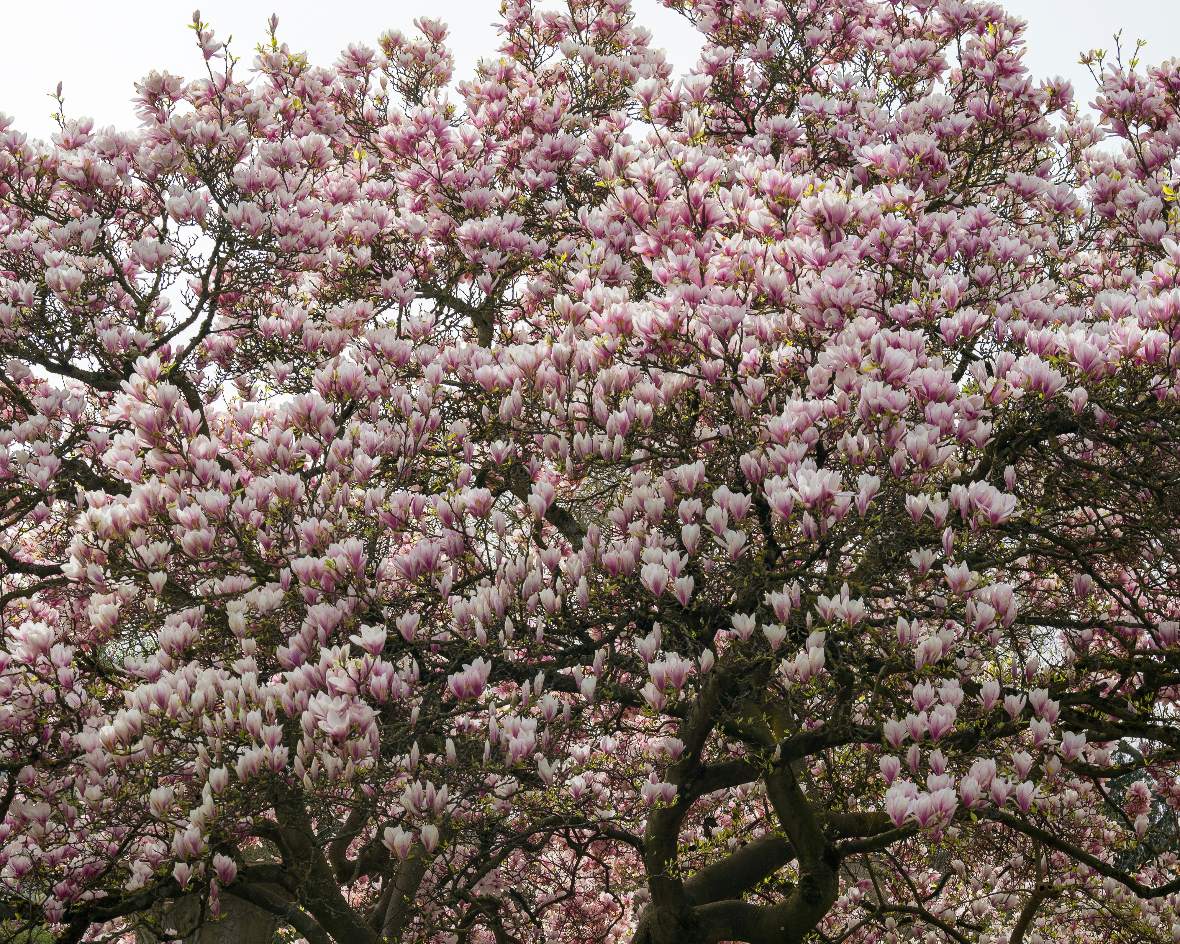 Photo by bangscreative