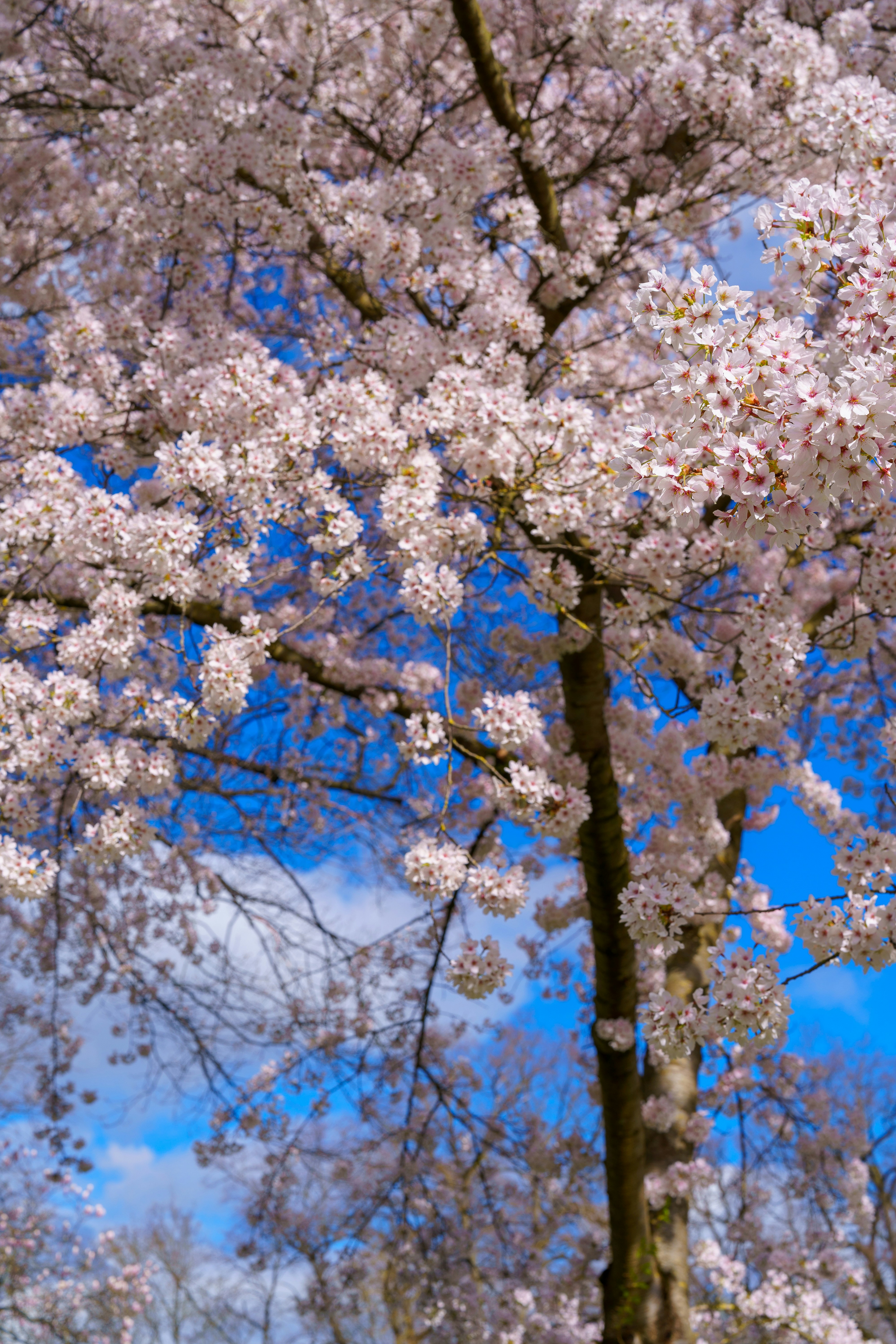 Photo by bangscreative