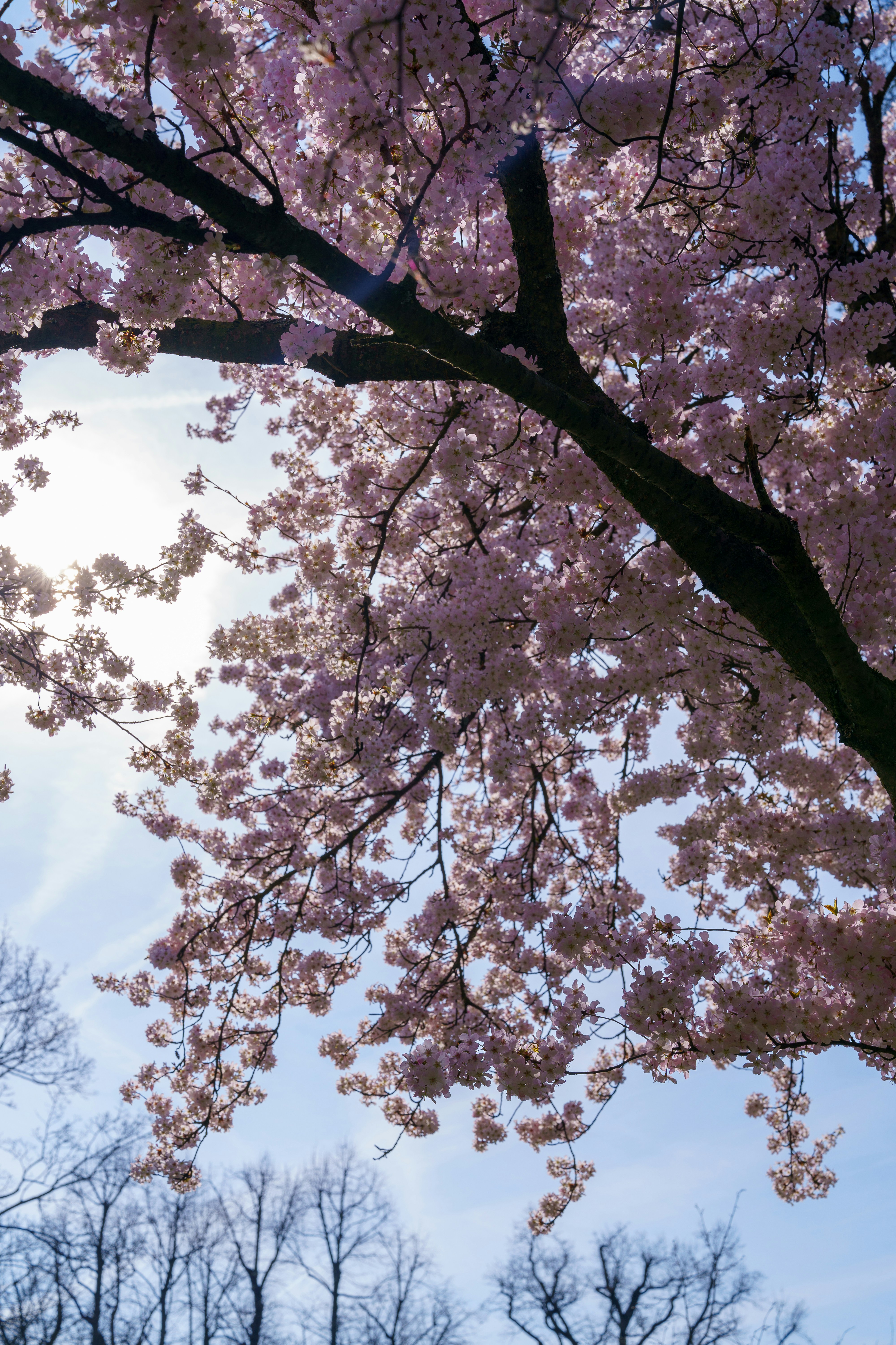 Photo by bangscreative