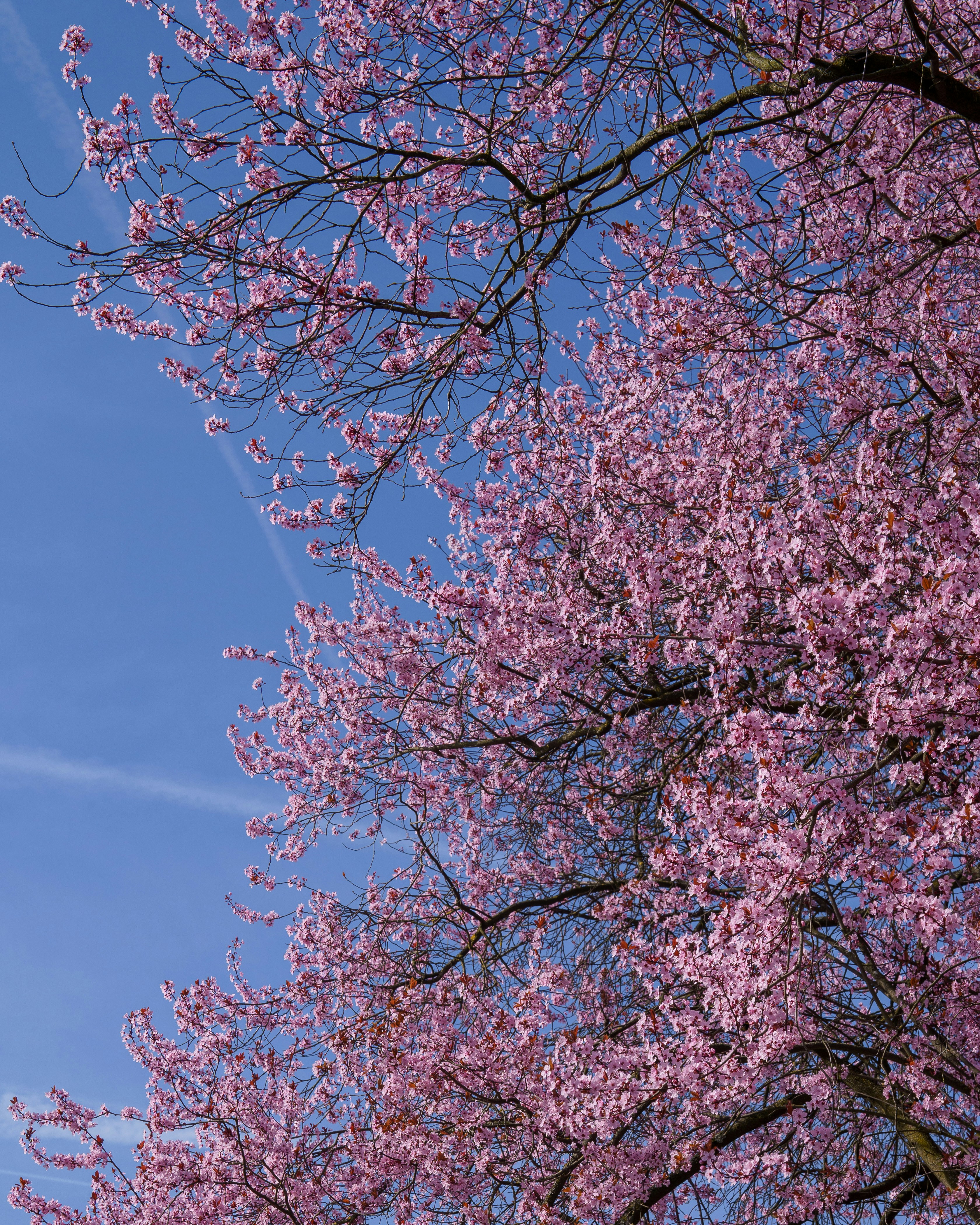 Photo by bangscreative