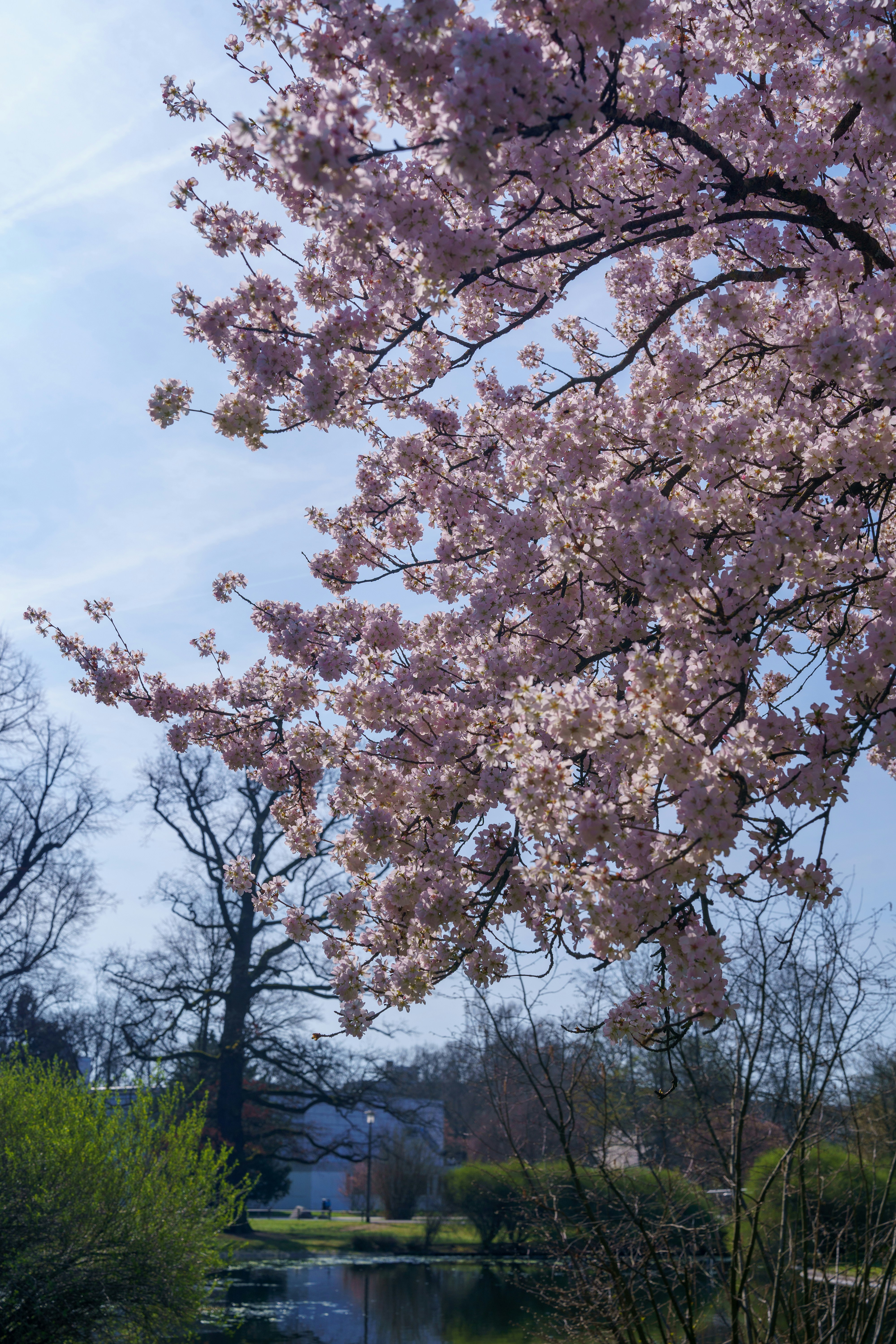 Photo by bangscreative