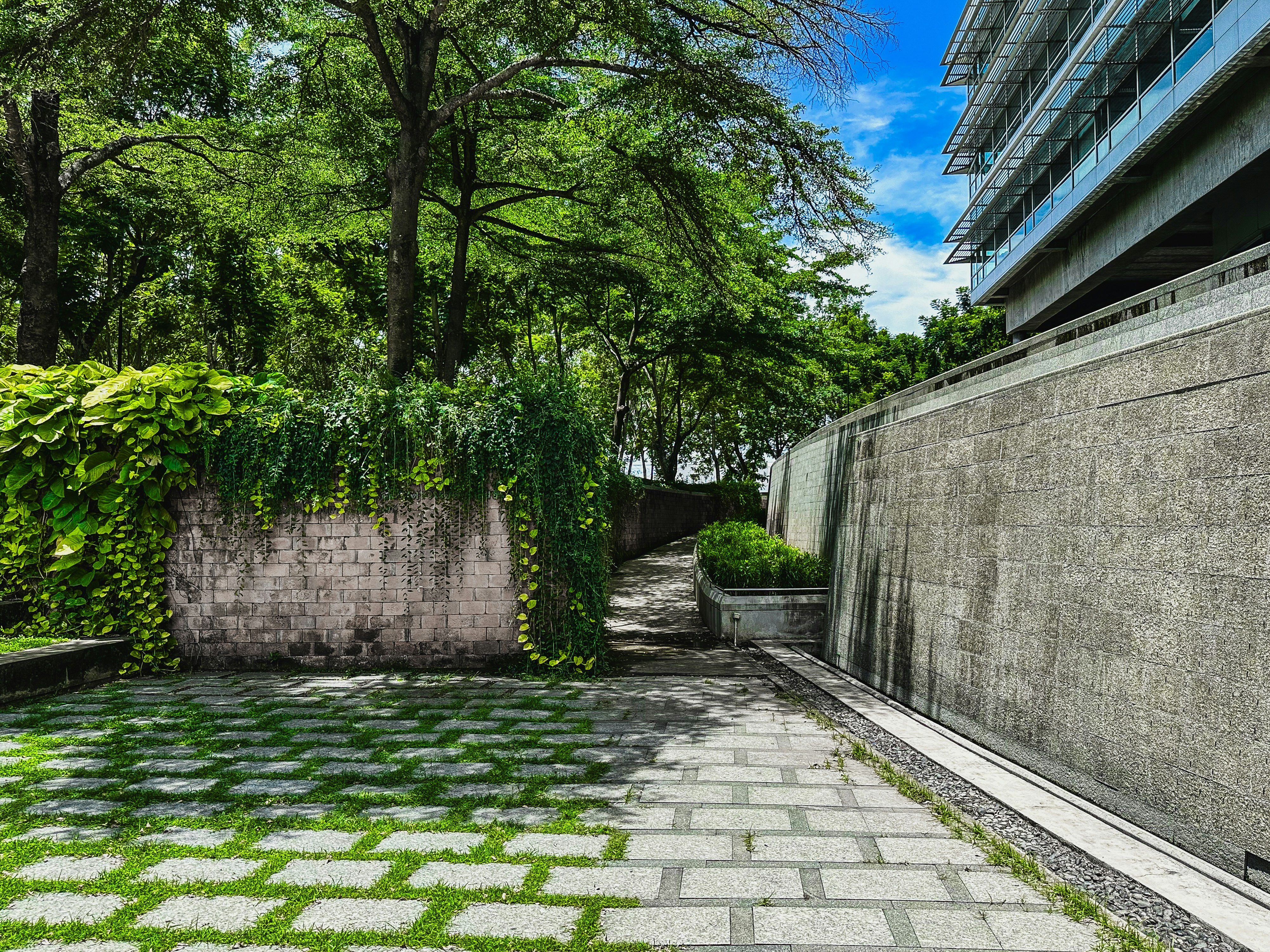 A courtyard with a stone walkway and green plants