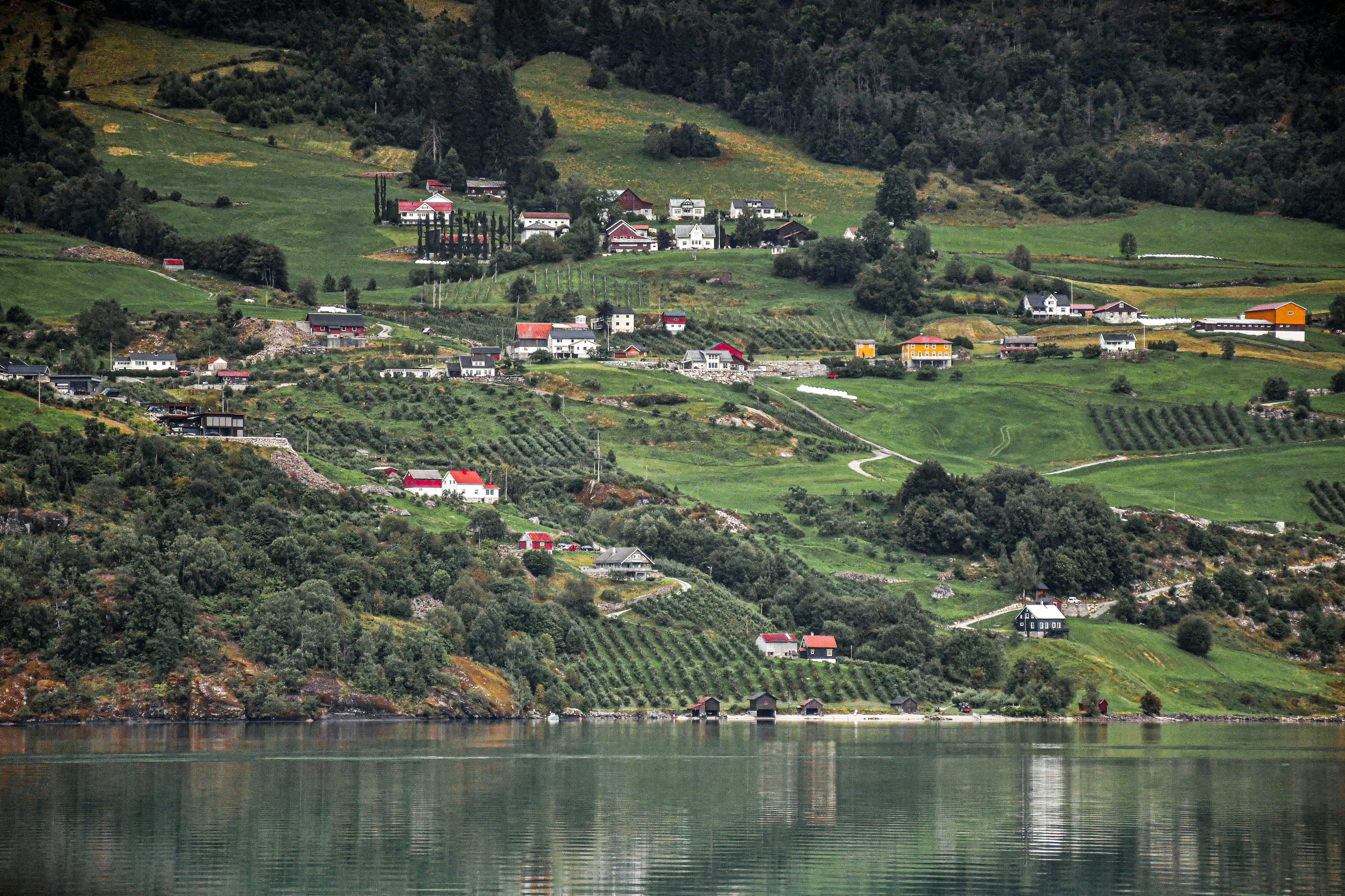 Photo by almahphotos