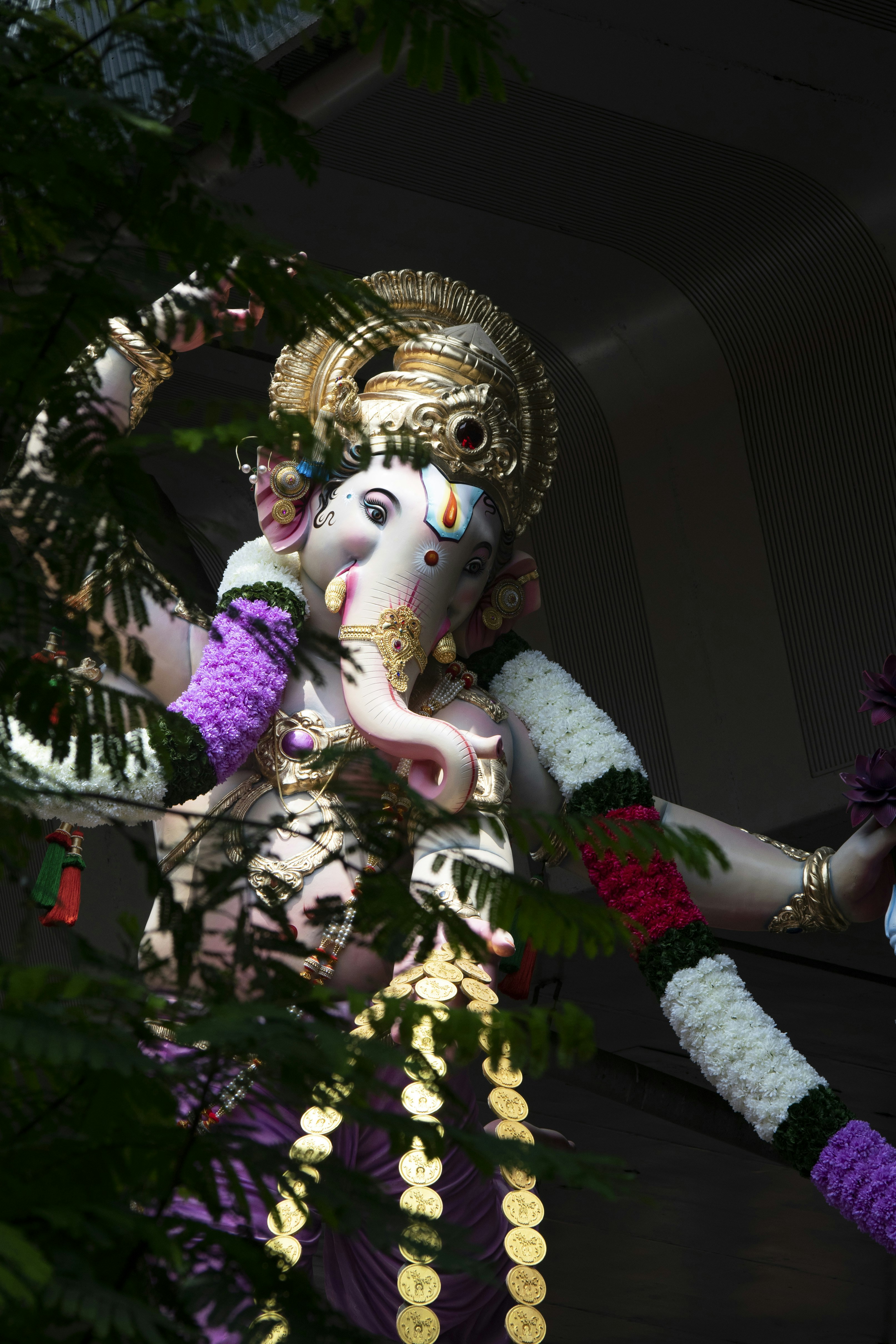 Photo by vishalpanchal96