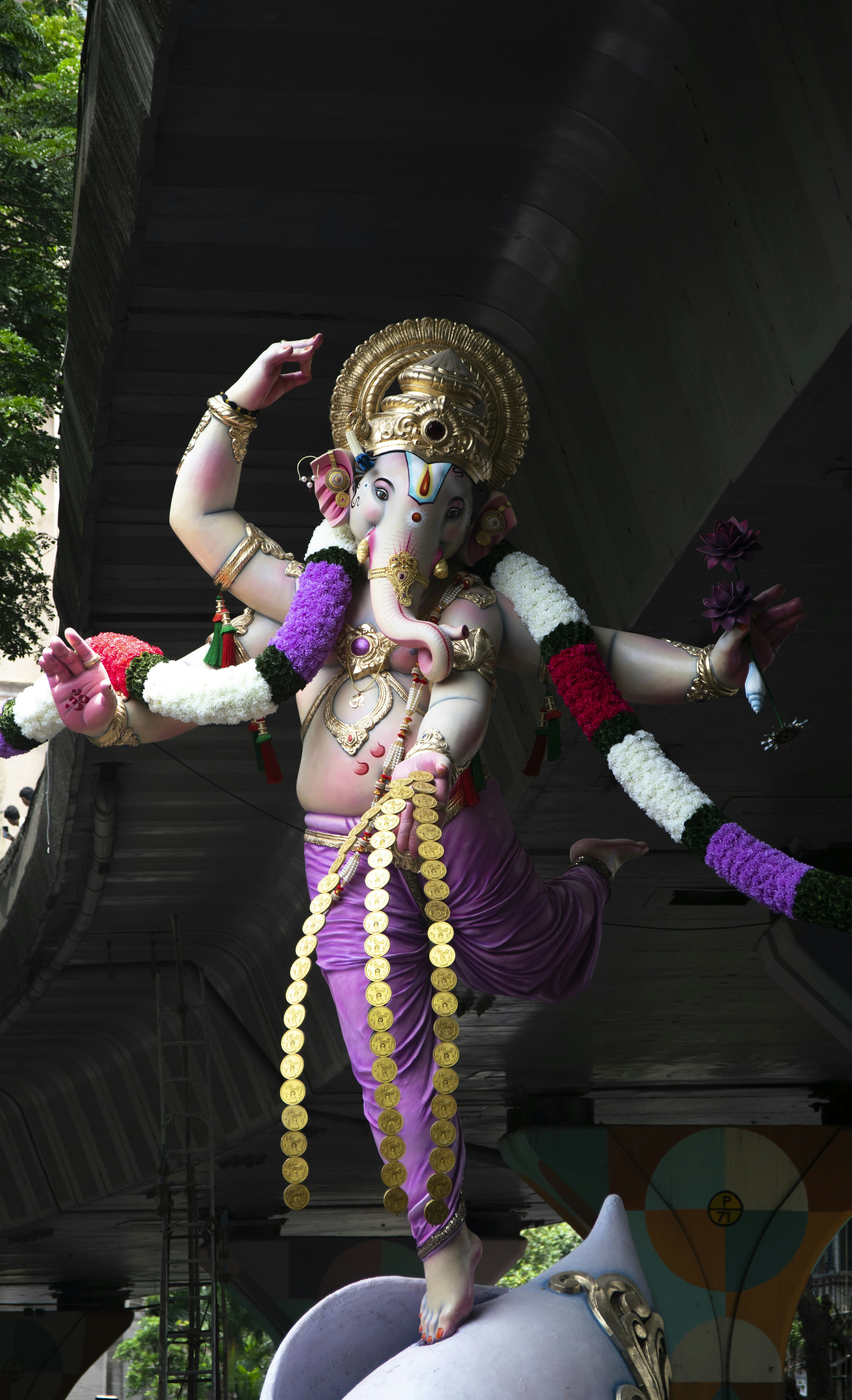 Photo by vishalpanchal96