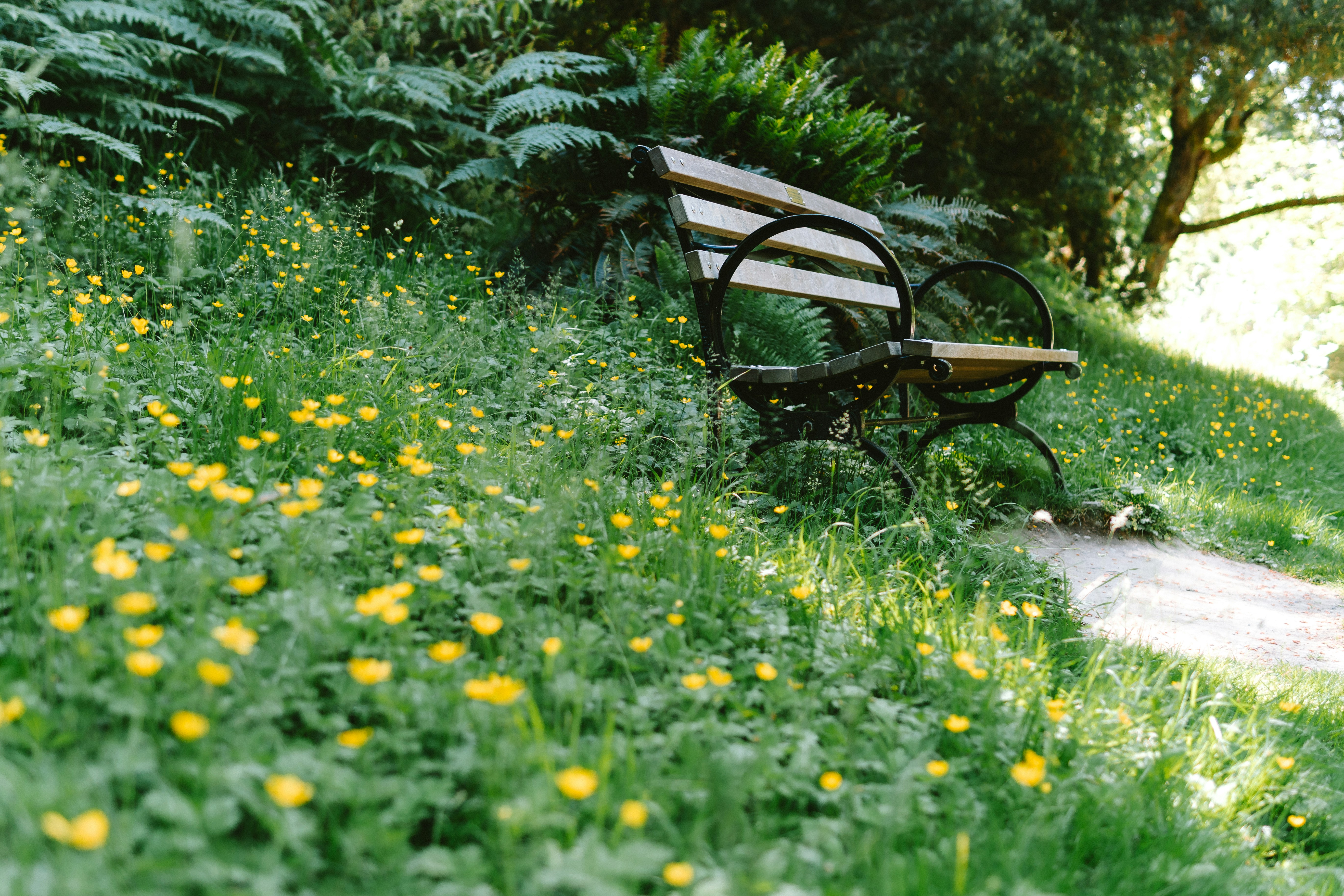 Photo by jaspergribble