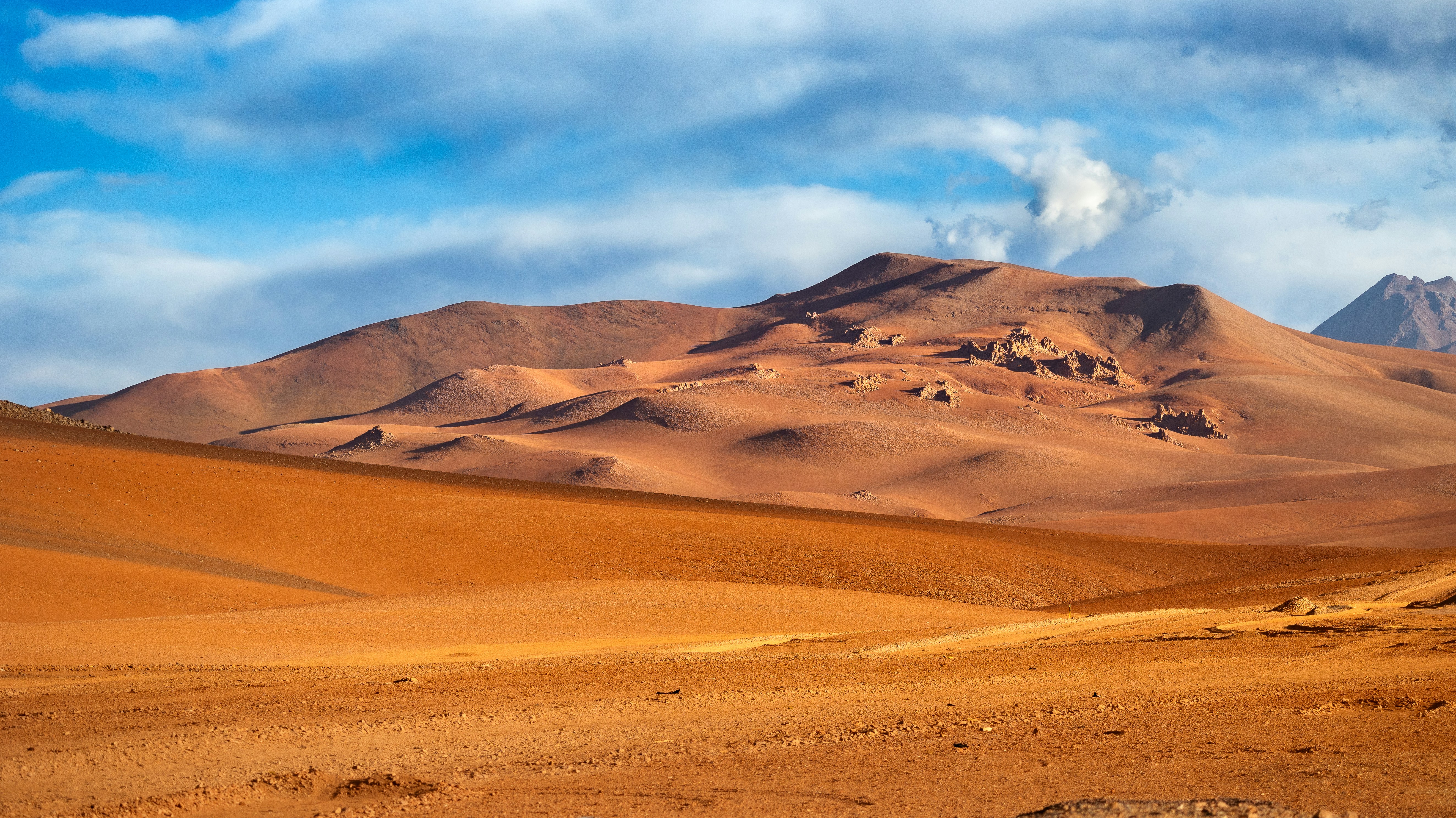 Photo by marekpiwnicki