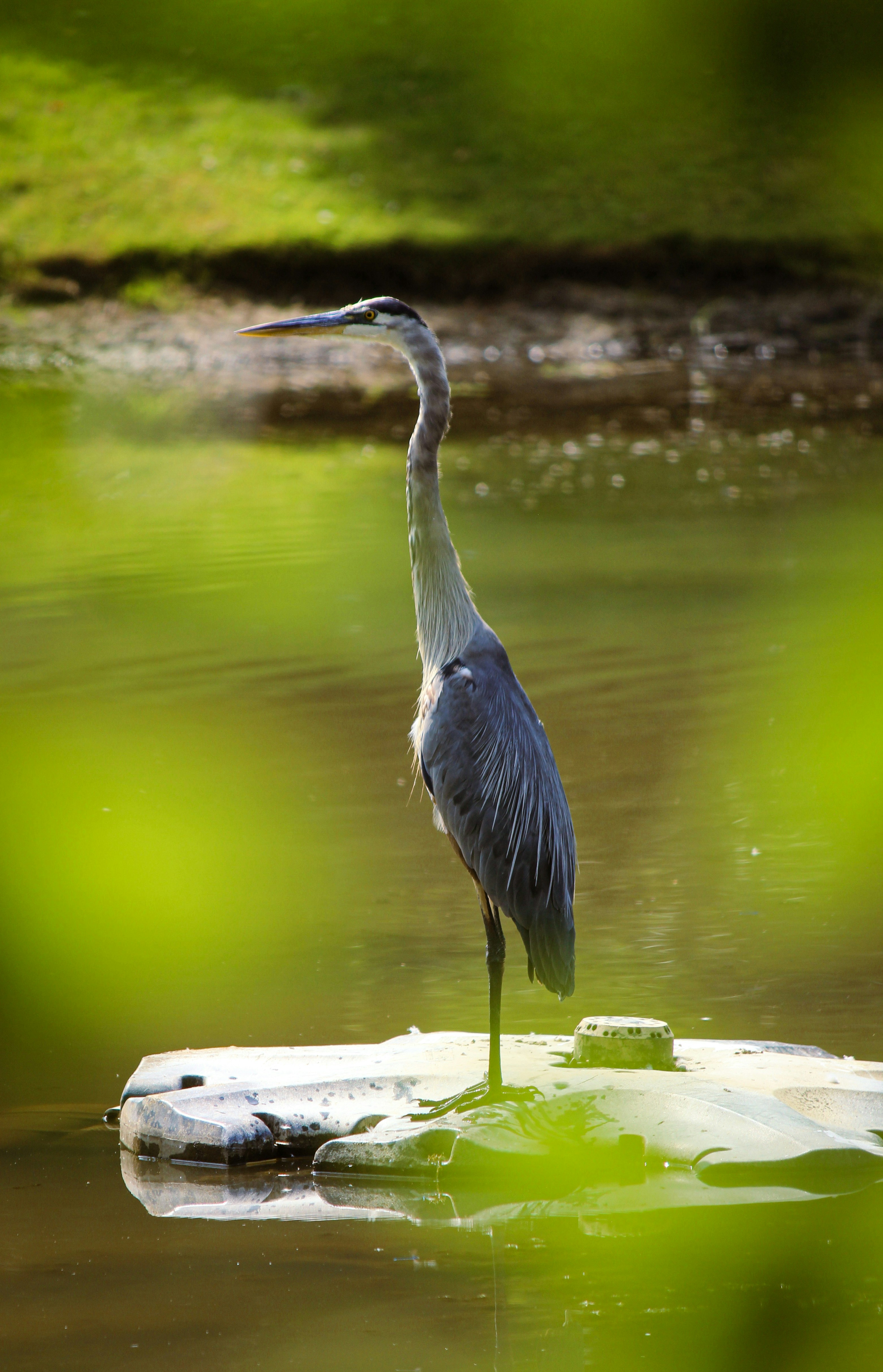 Photo by hasnainsikora