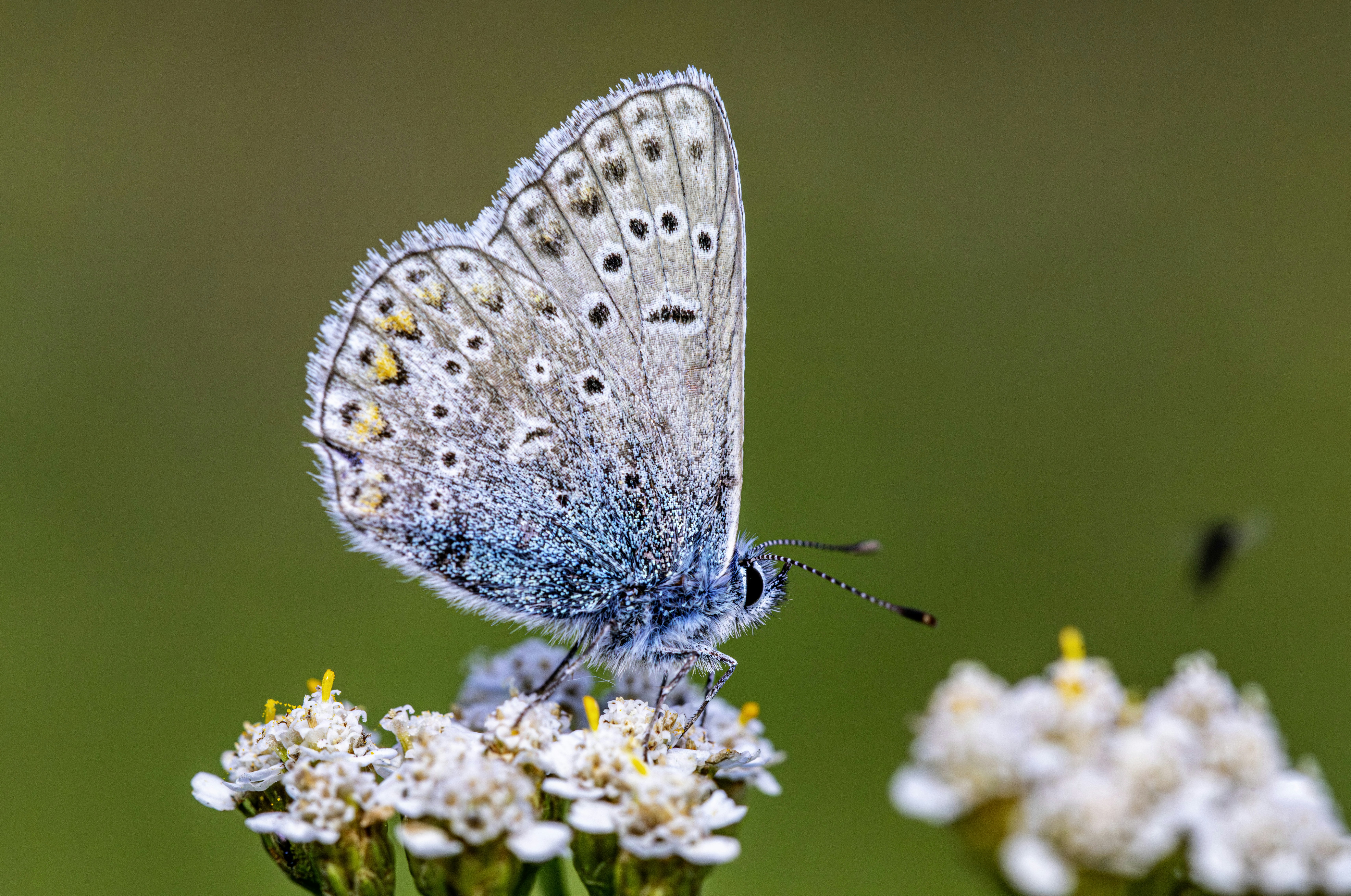 Photo by erik_karits