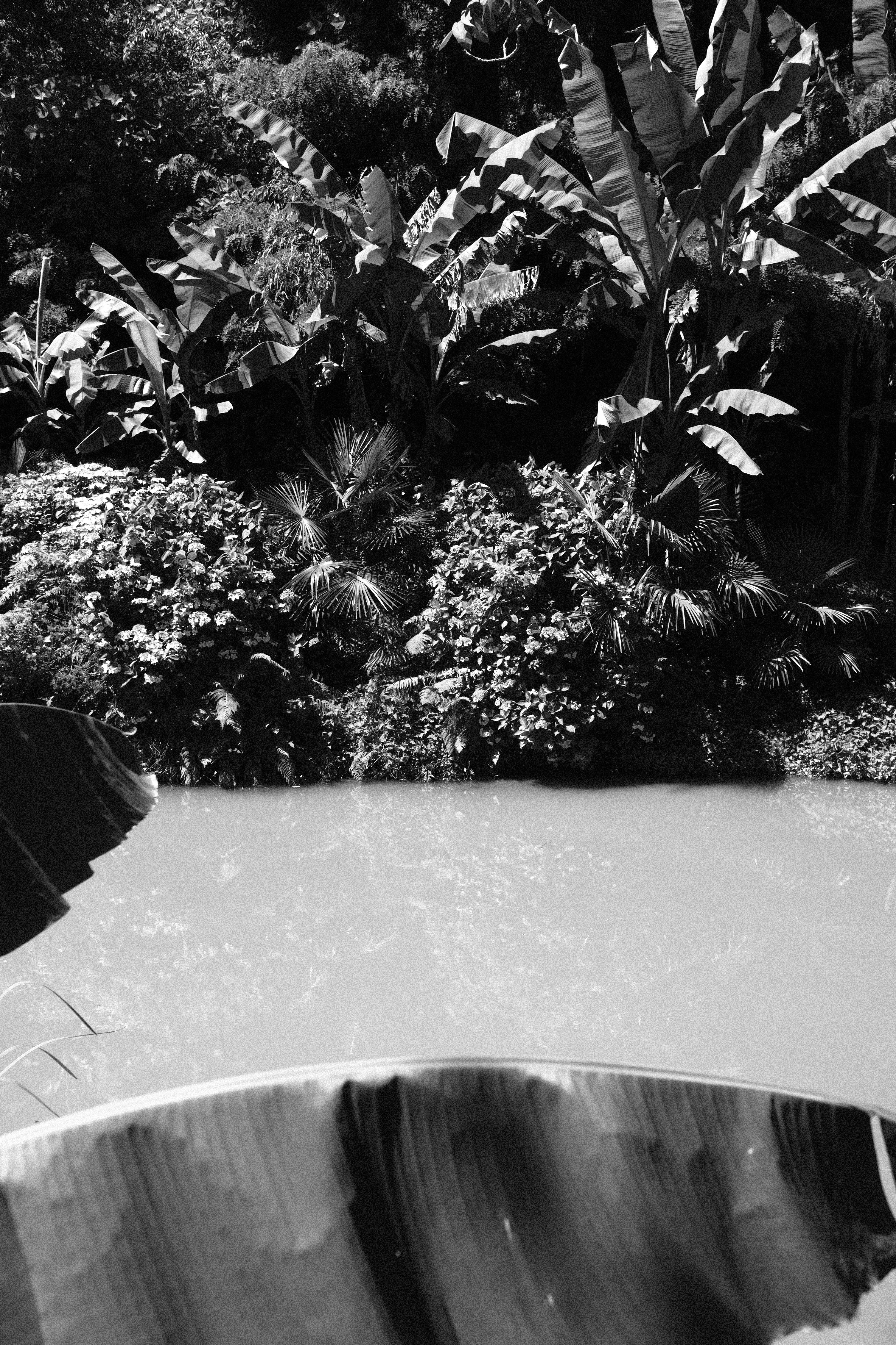 Photo by alekseixagafonov