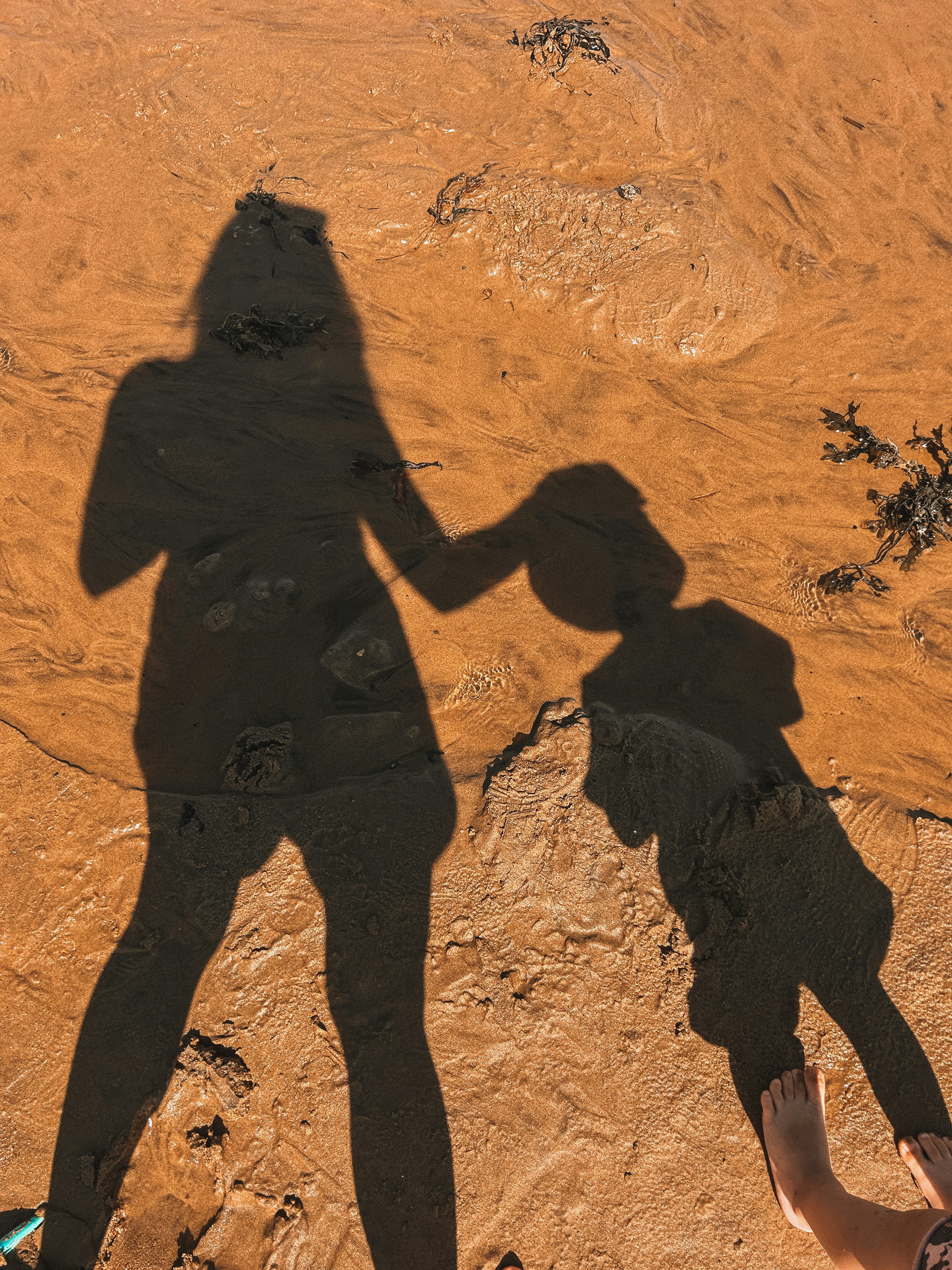 A shadow of a person holding a child's hand