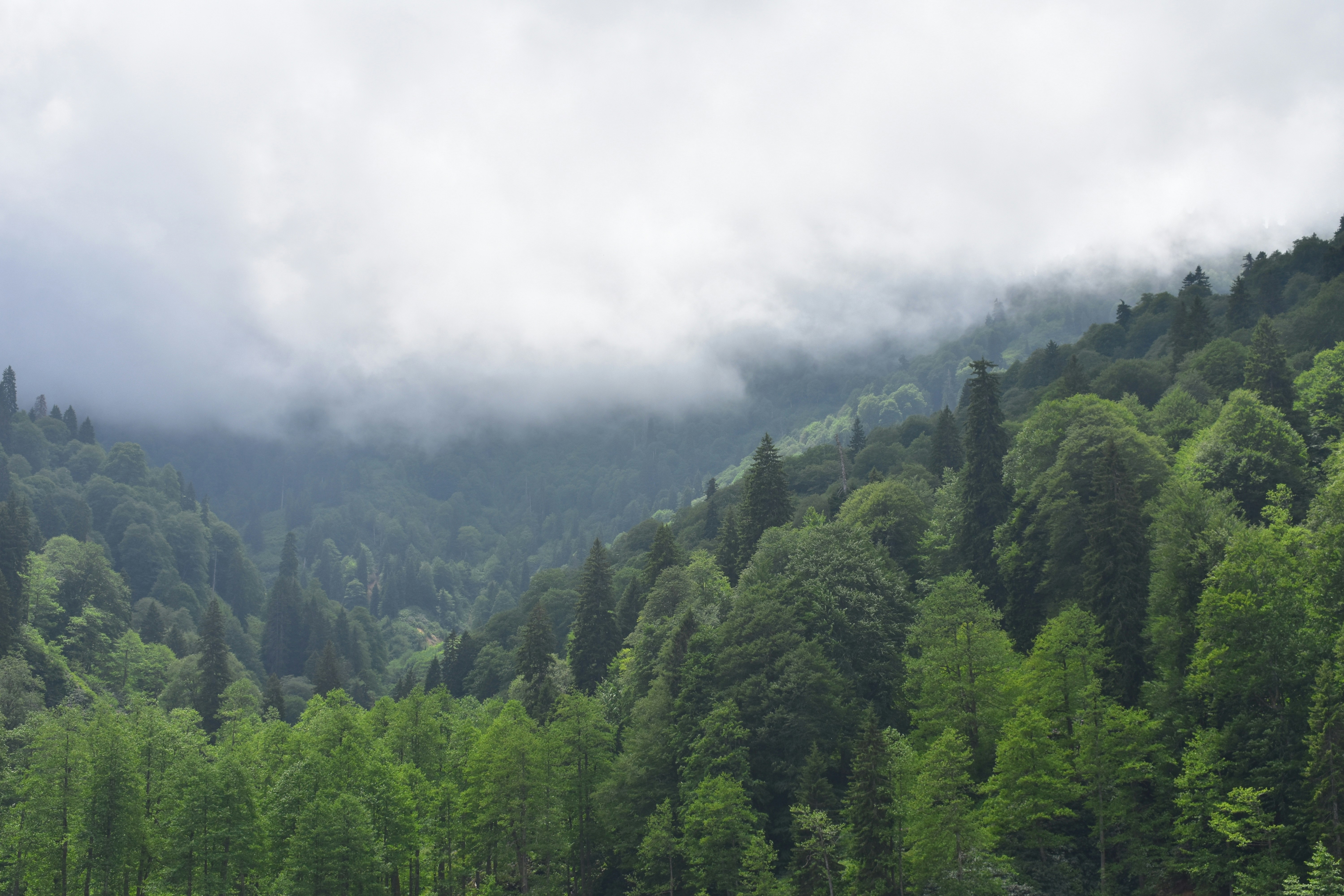 Photo on Unsplash