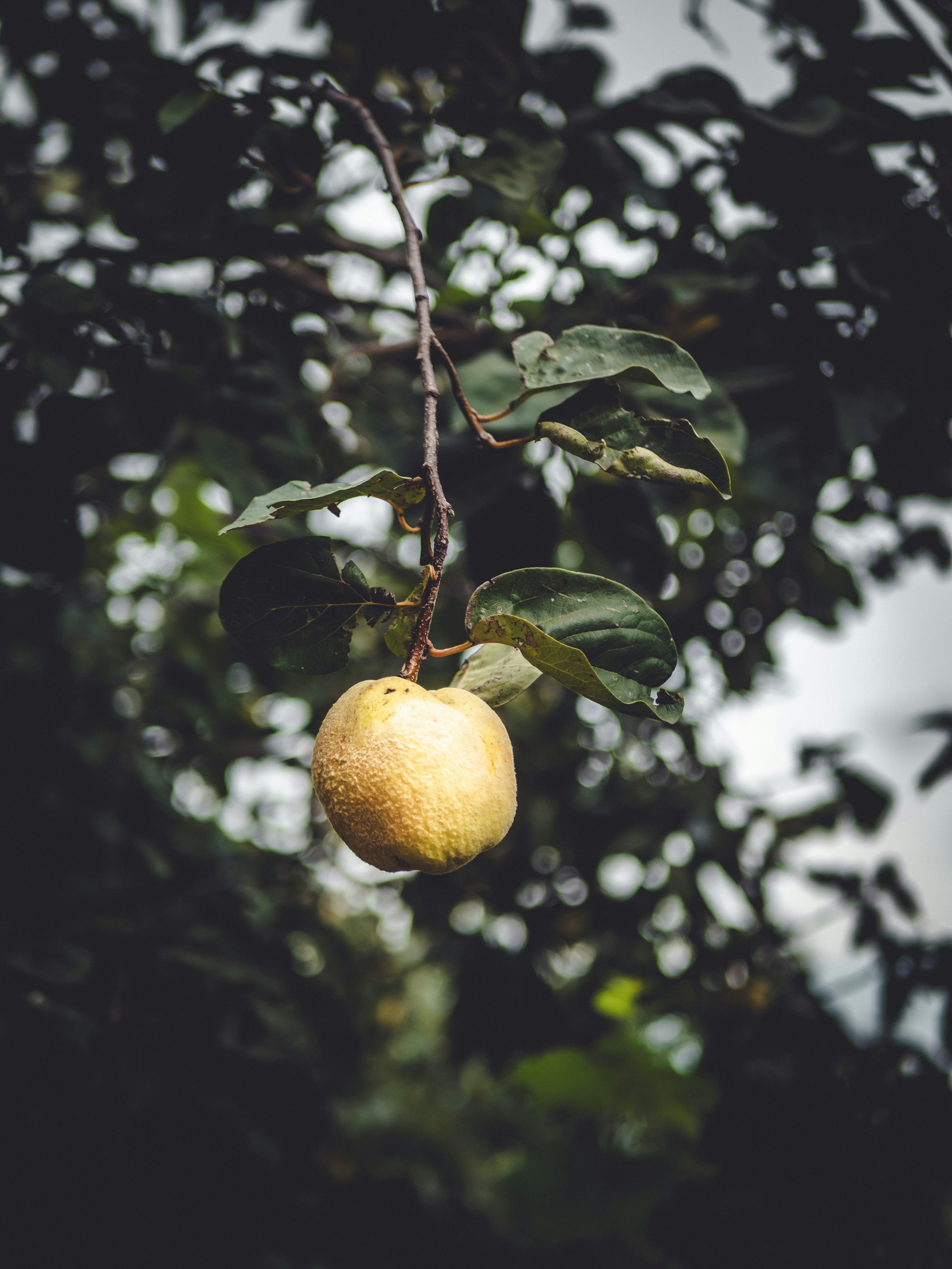 Photo by angelanedelcu1