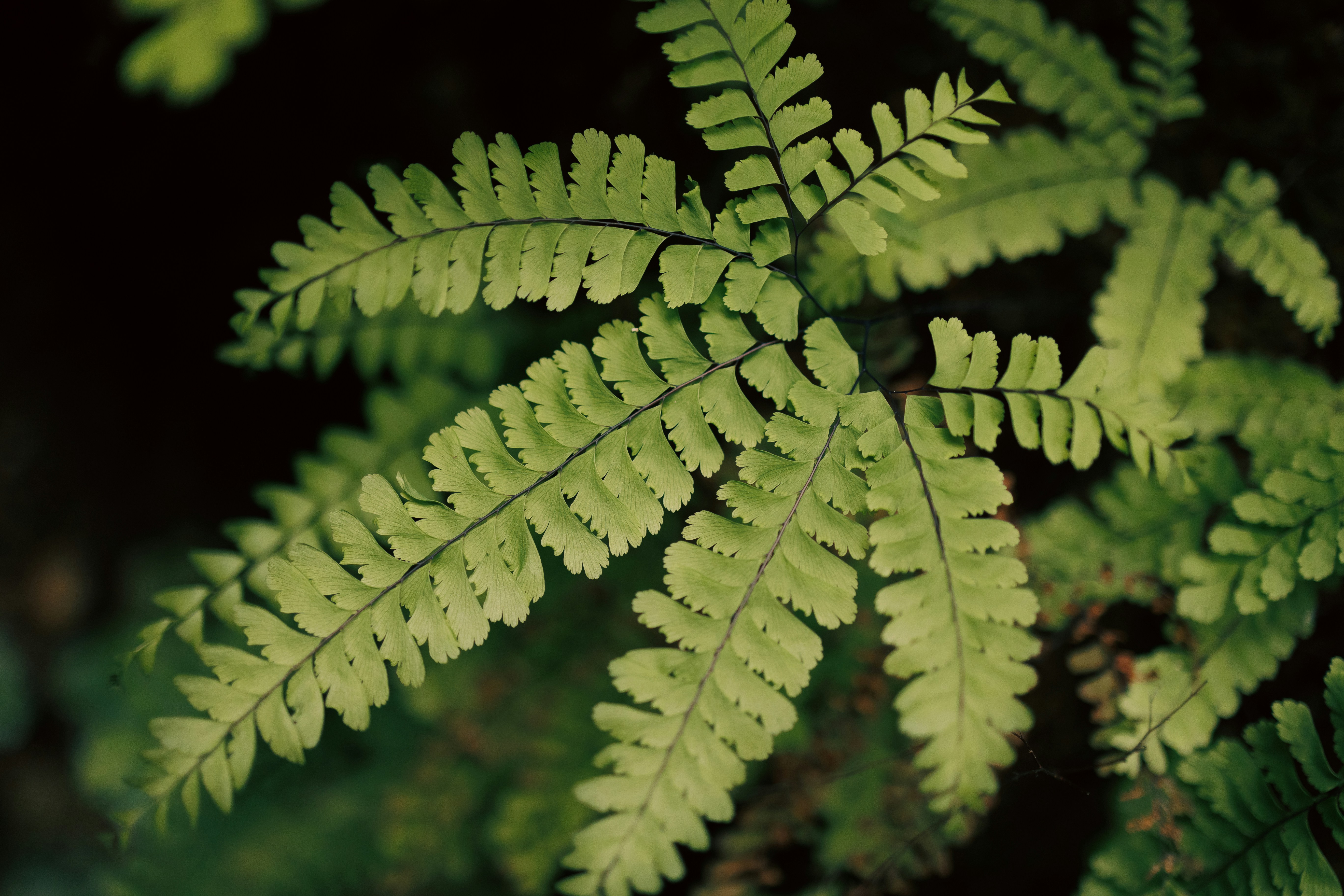 Photo by stills_byliz