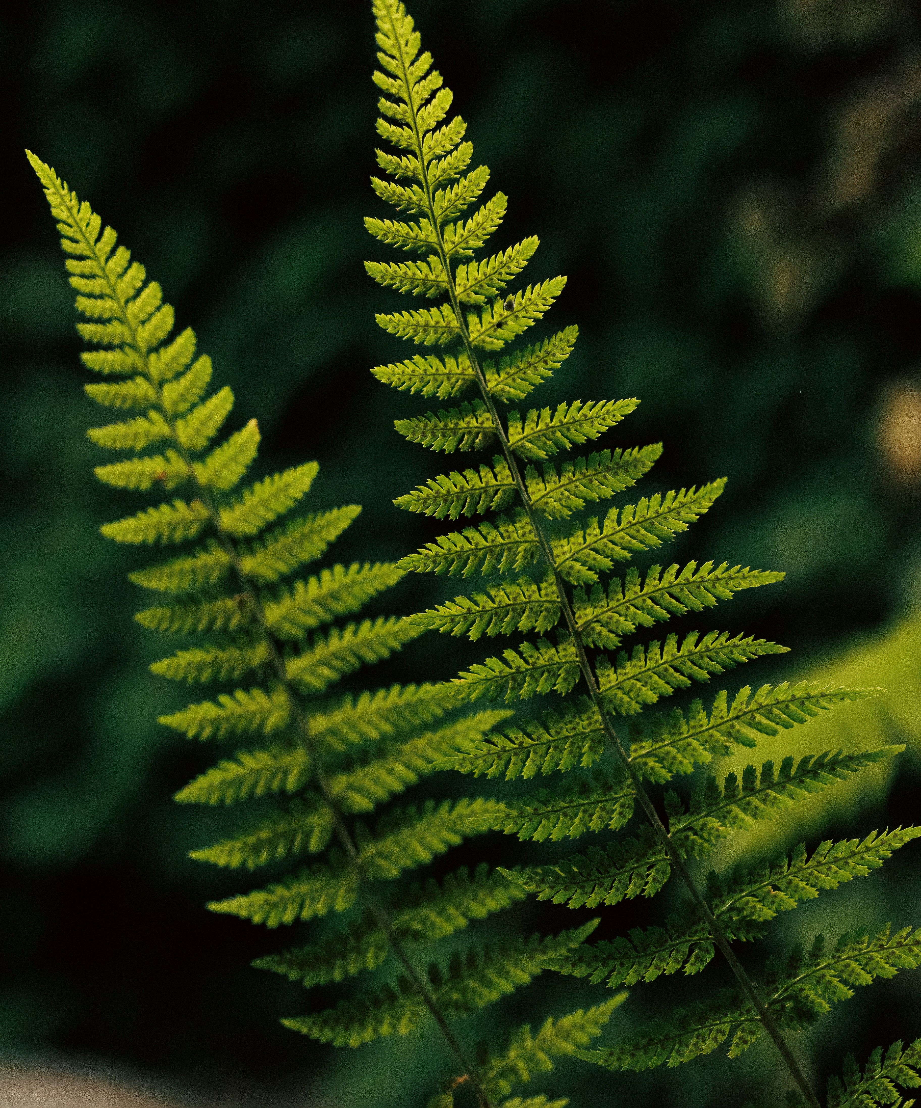 Photo by stills_byliz