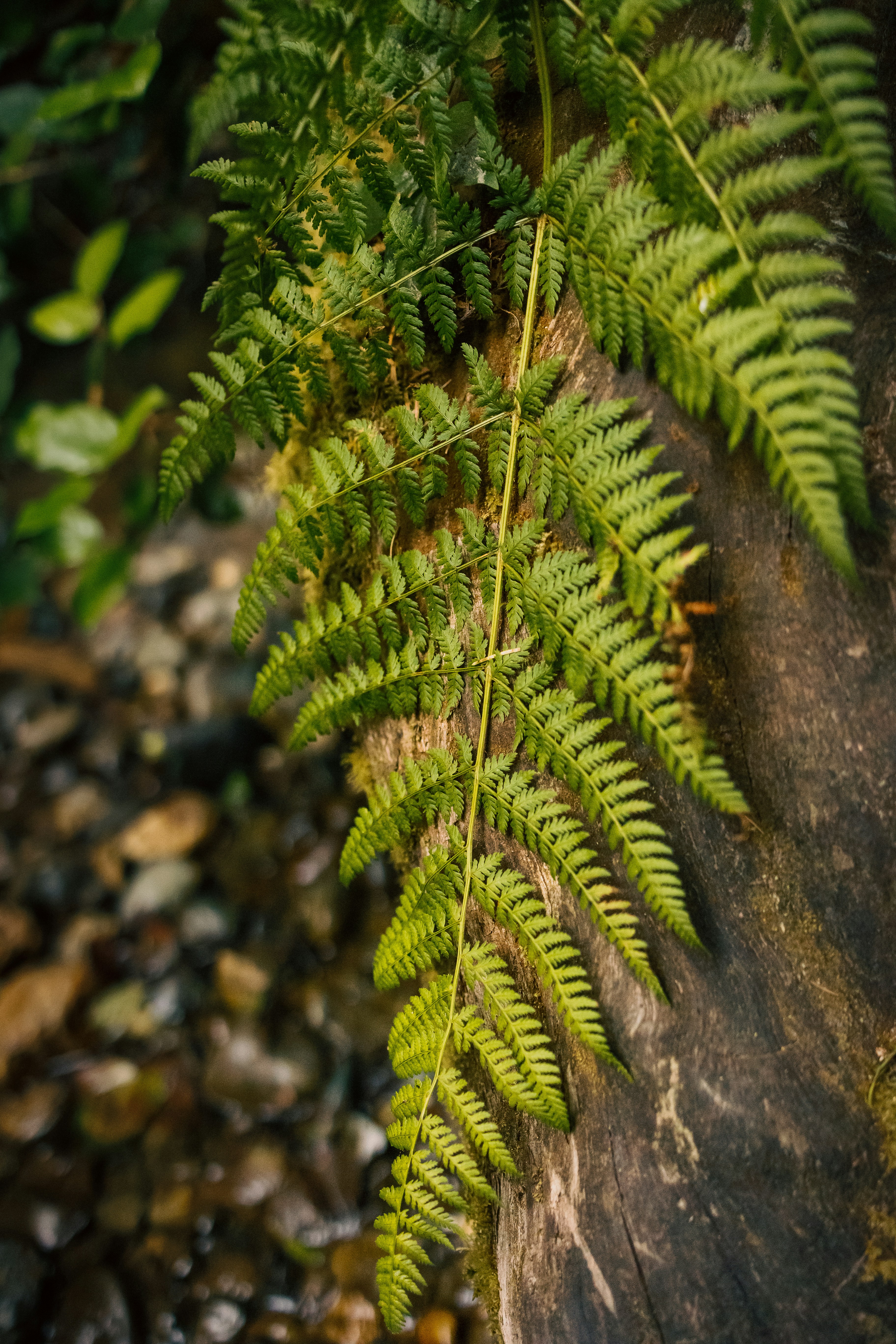 Photo by stills_byliz