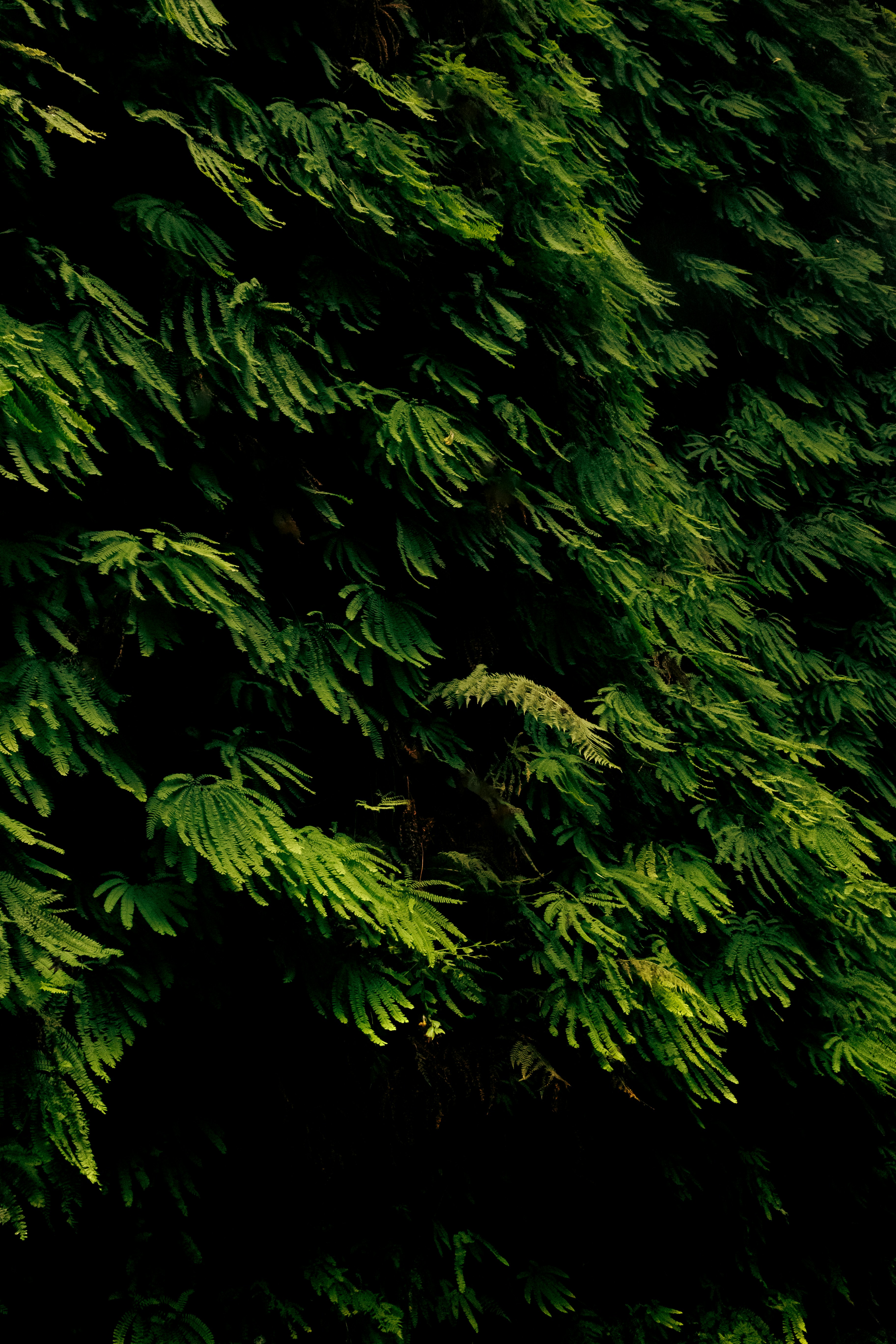 Photo by stills_byliz