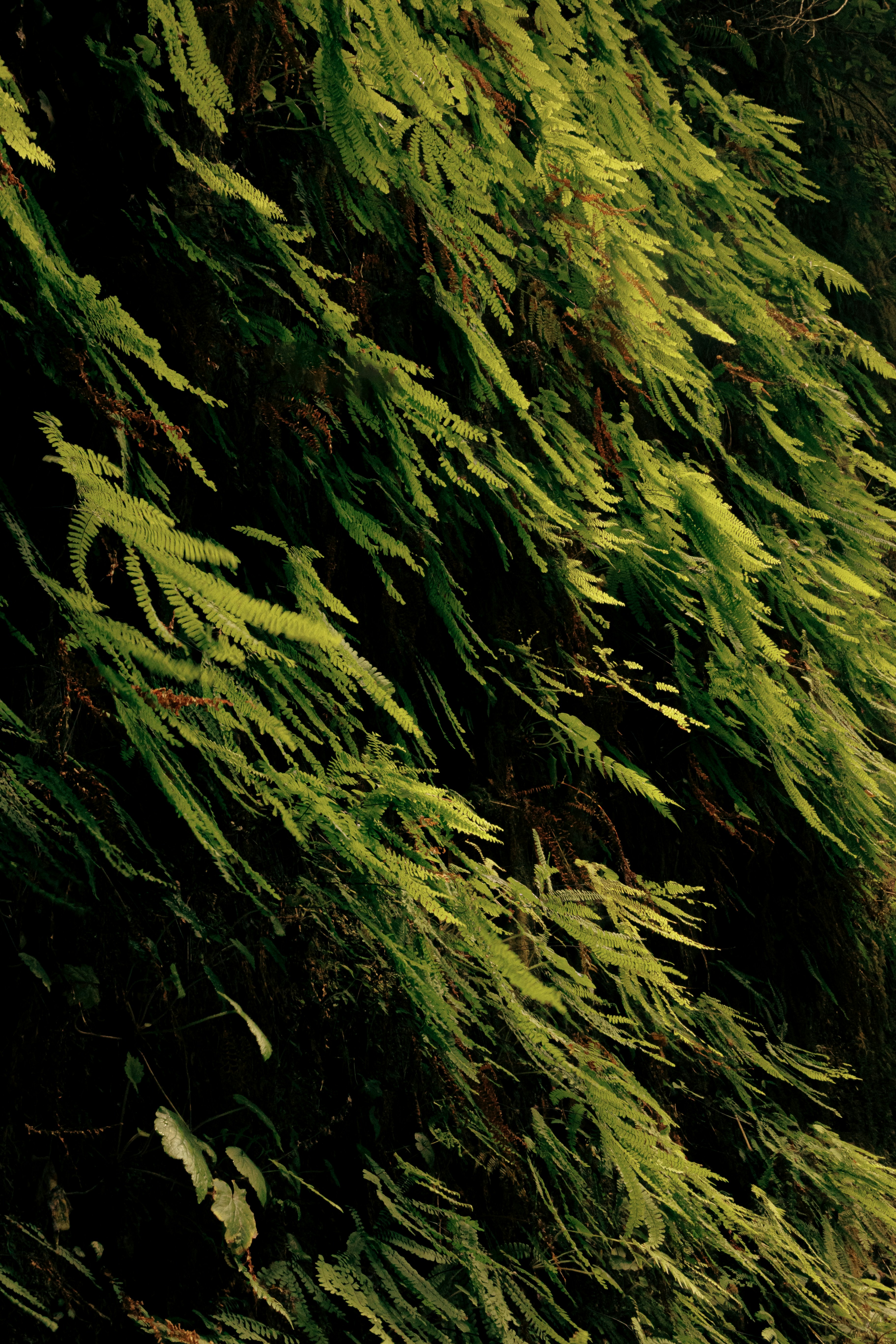 Photo by stills_byliz