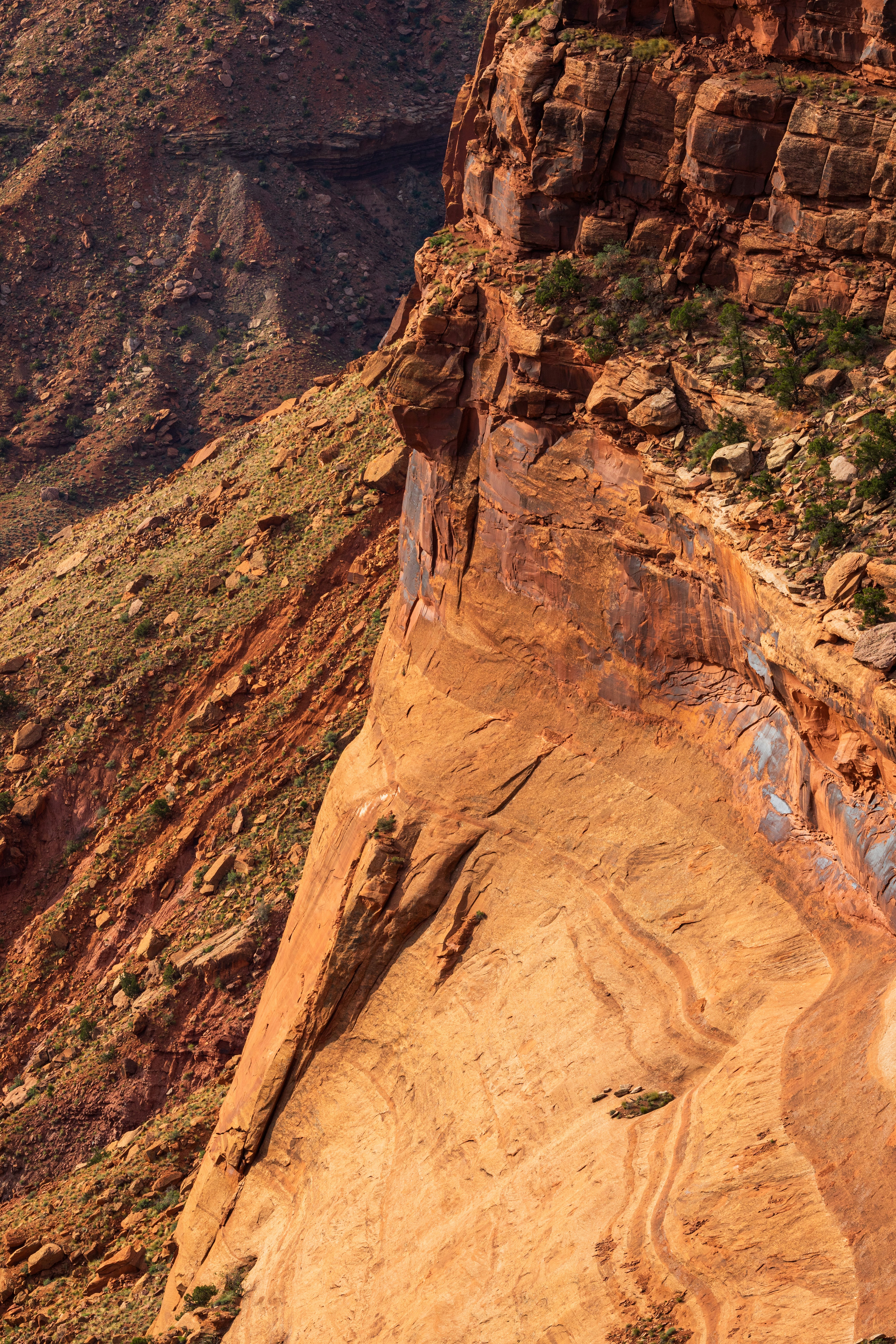 Photo by brandonstoll