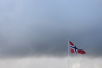 A flag on a pole with a cloudy sky in the background