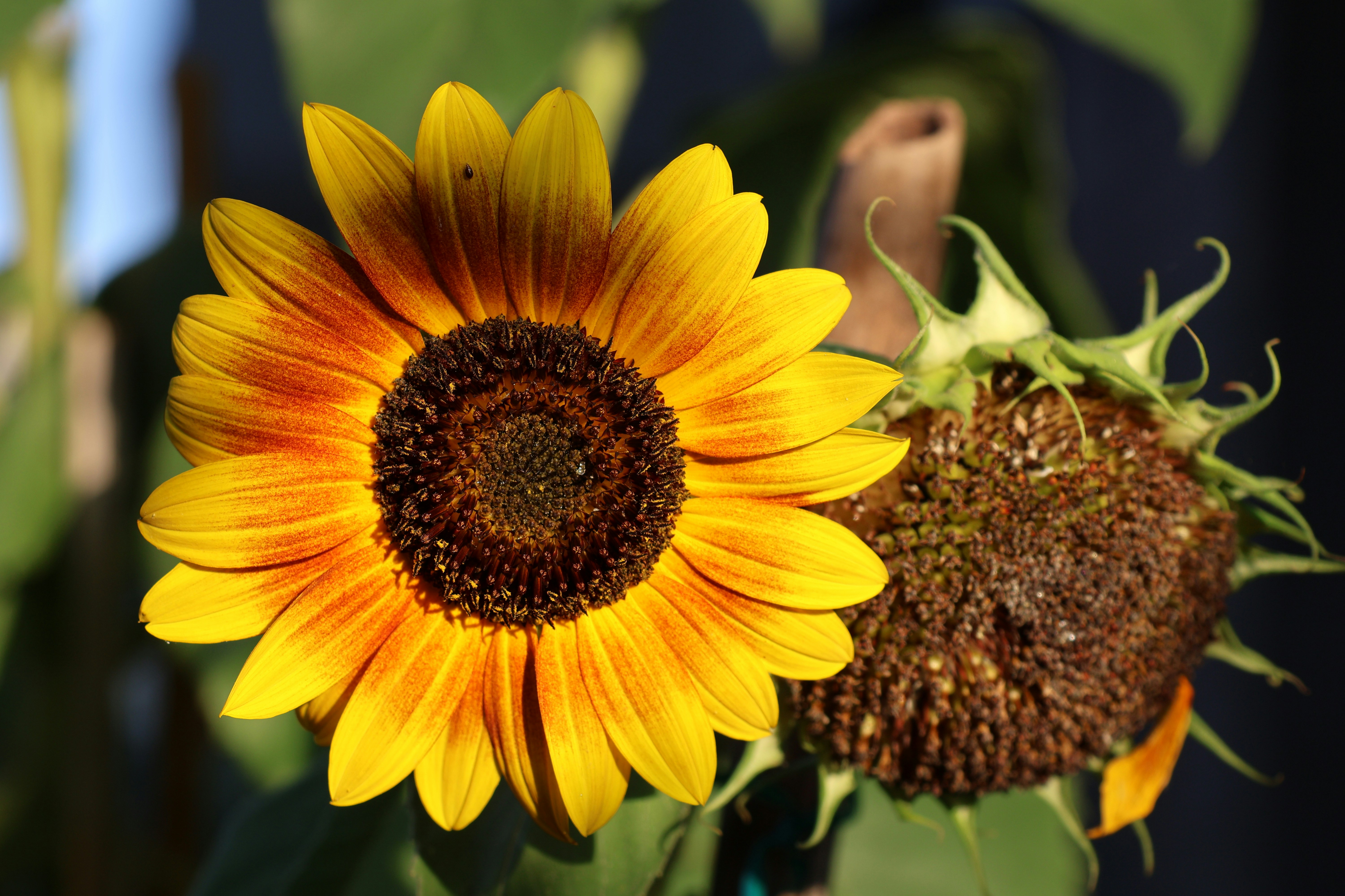 Photo by shooter__andy